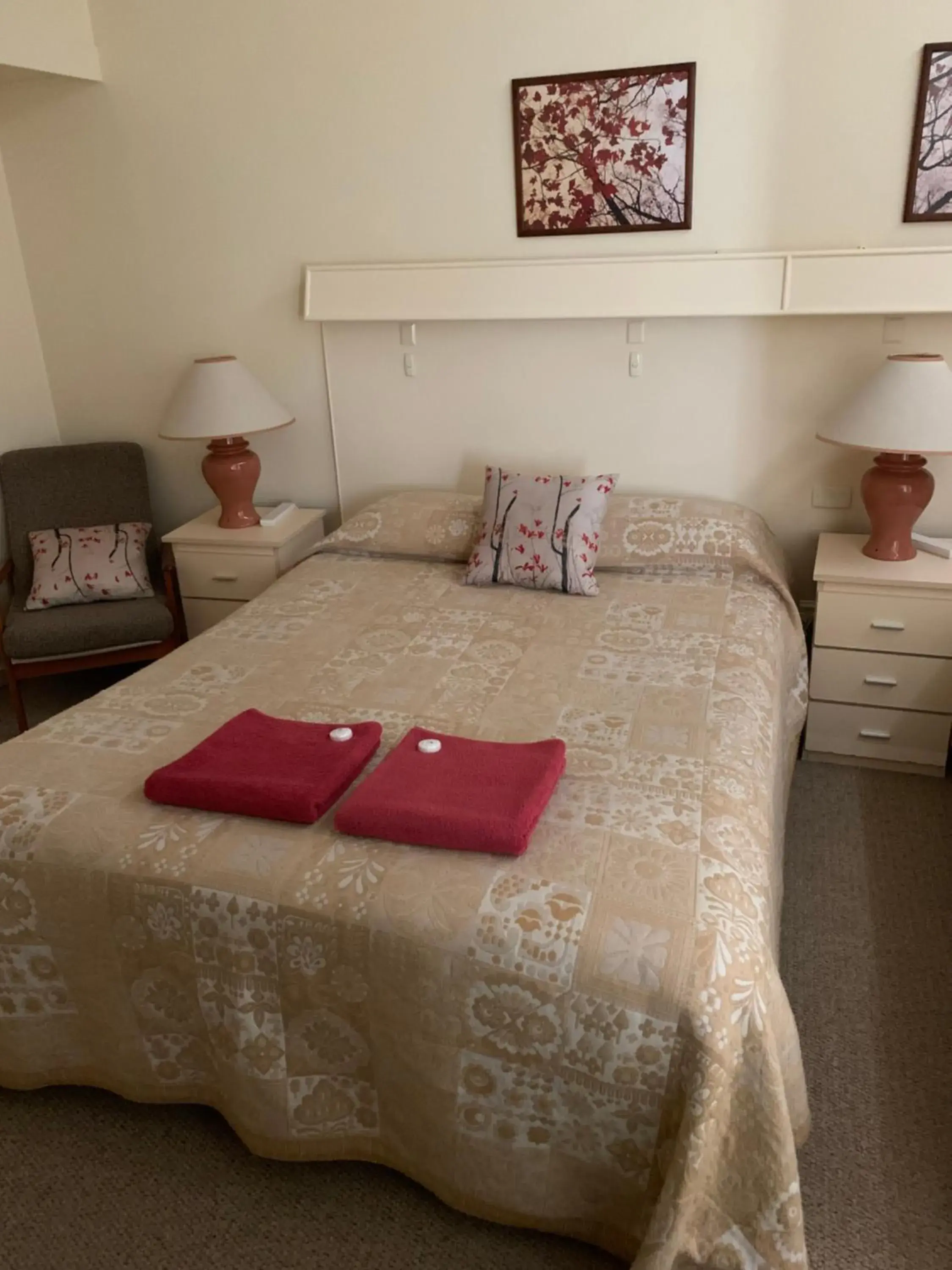 Budget Double Room - single occupancy in Tarra Motel Yarram Budget Double Room - single occupancy in Tarra Motel Yarram