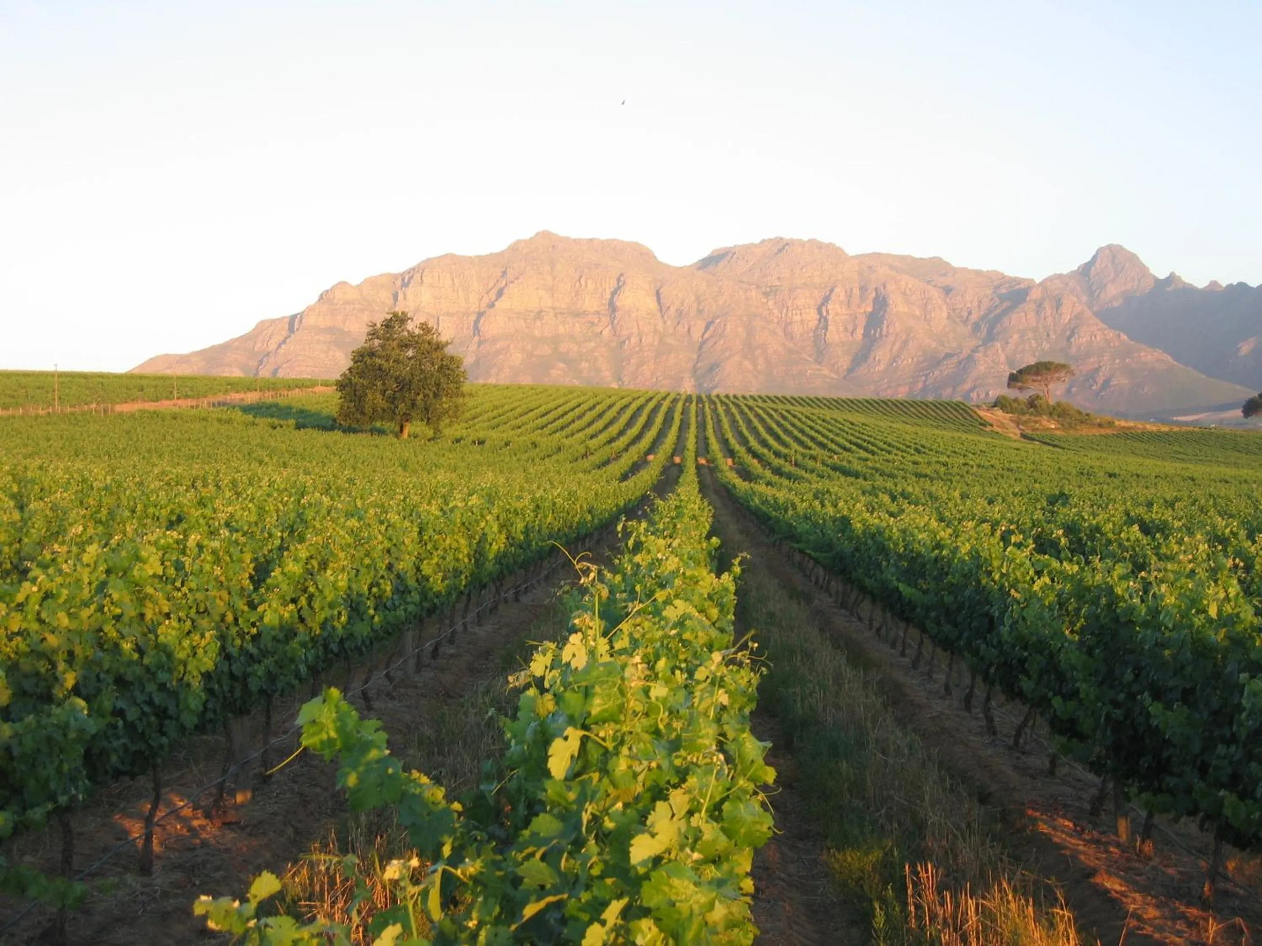 Area and facilities in De Zalze Lodge