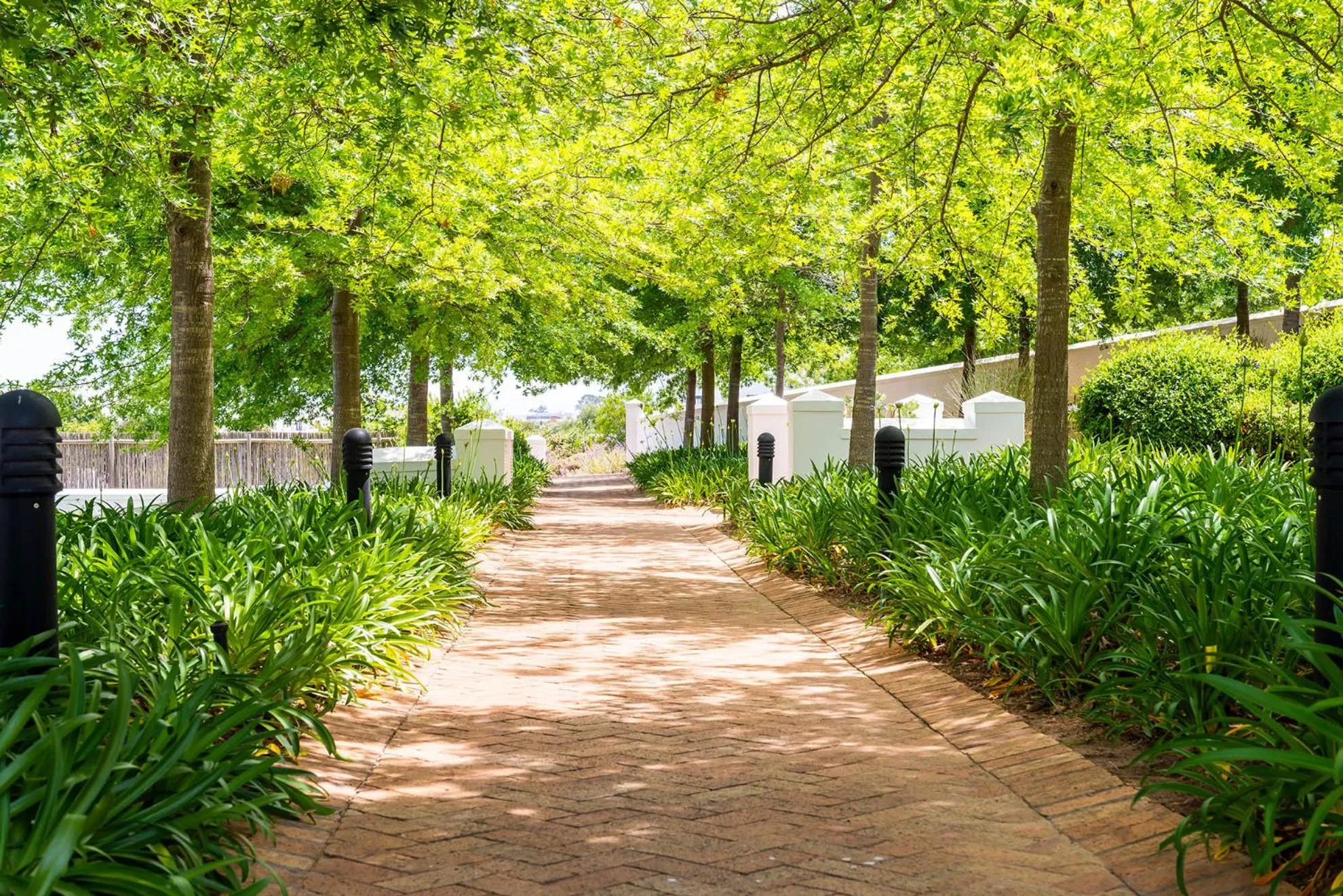 Property building in De Zalze Lodge