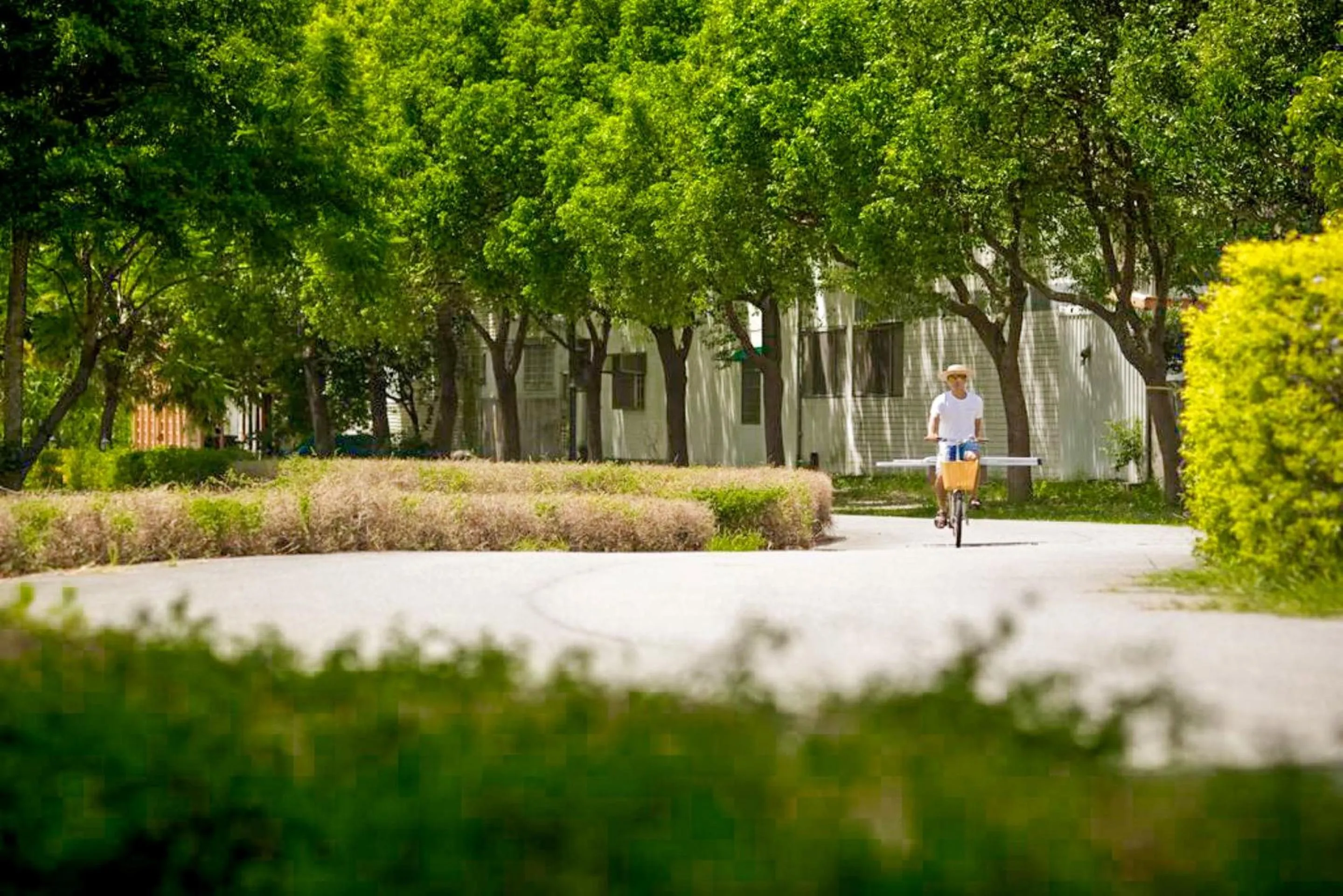Garden in Ville Greensward