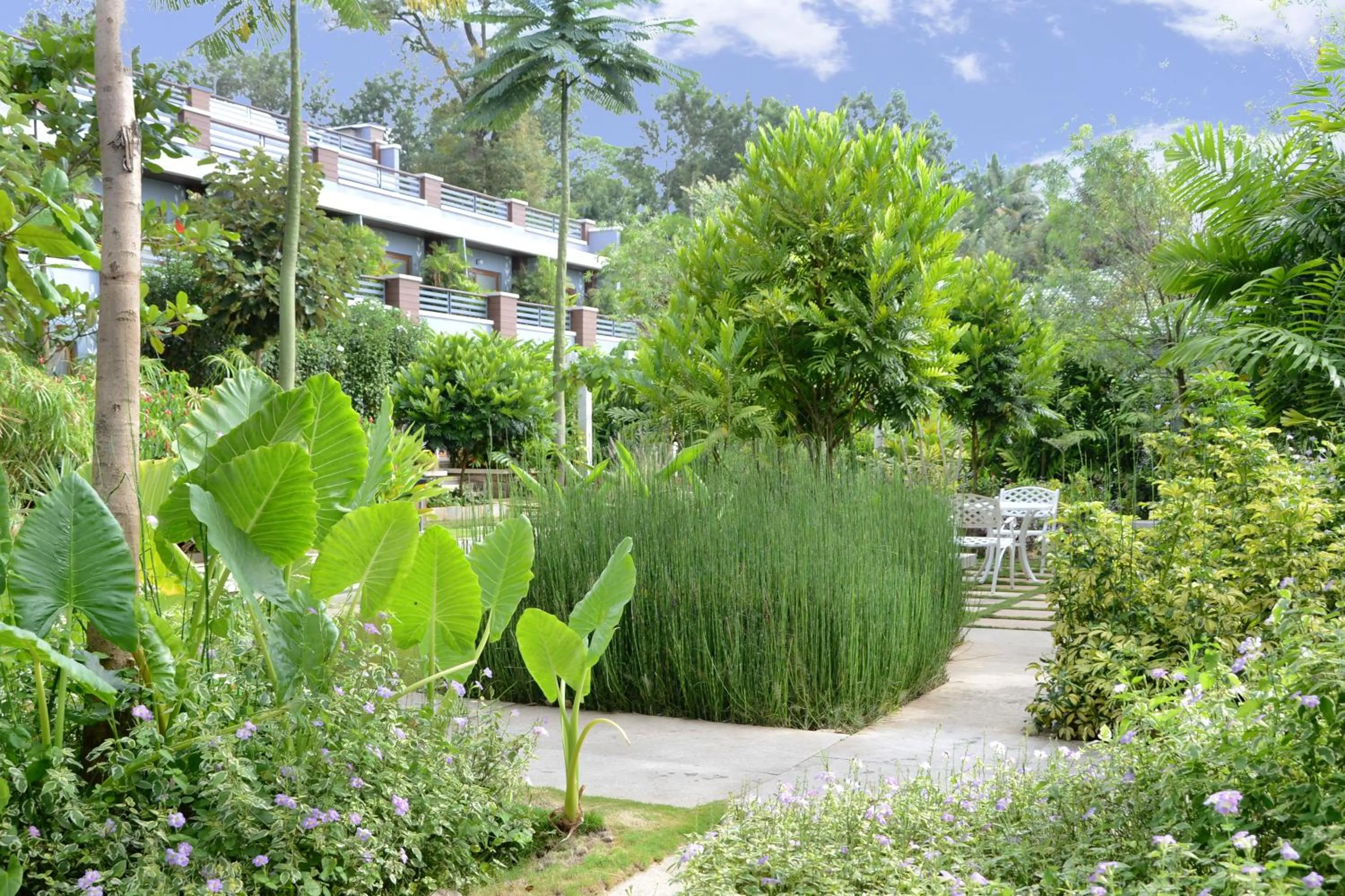 Garden view in Purple Palms Resort & Spa