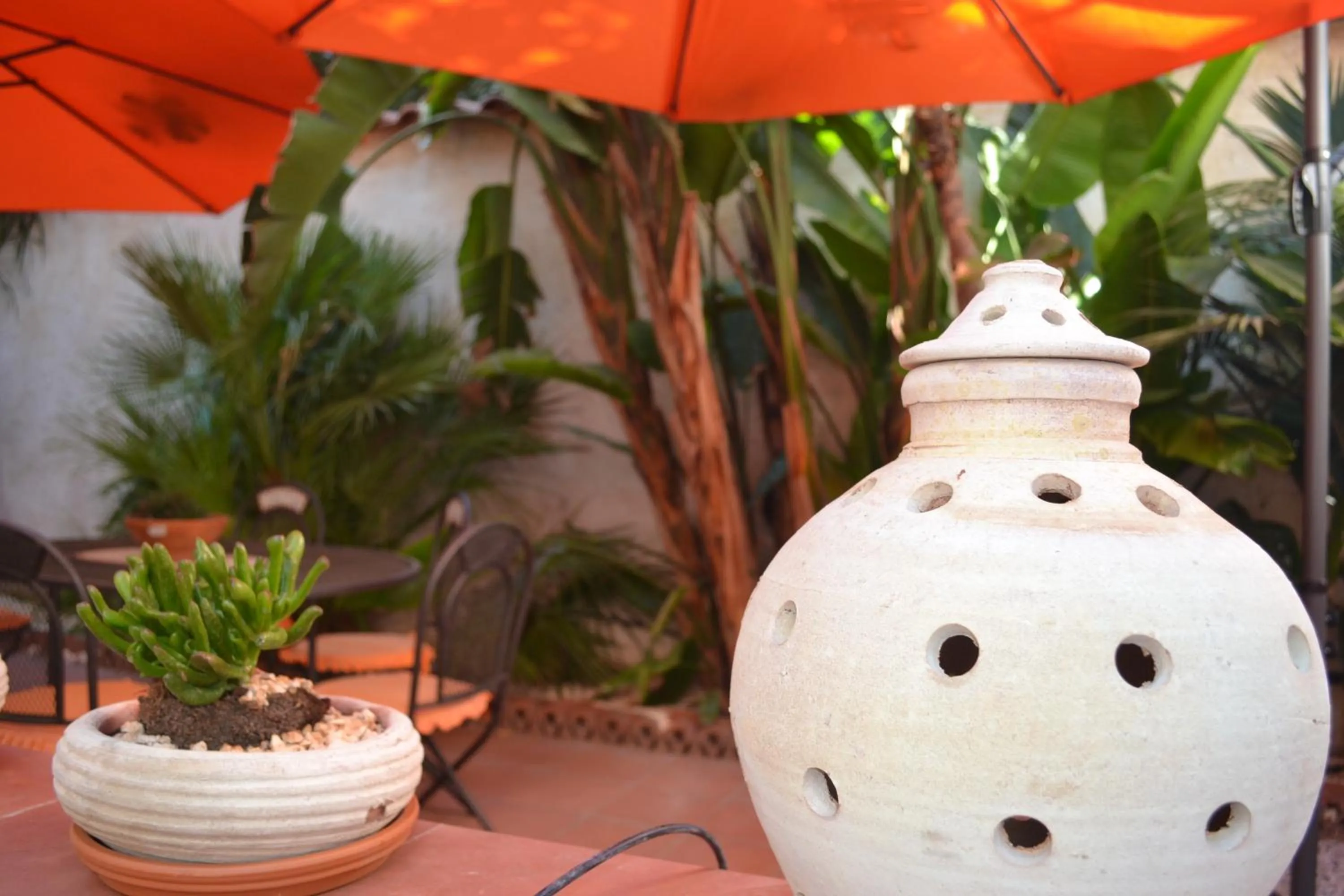 Garden in Il Cortiletto Di Piazza Verga