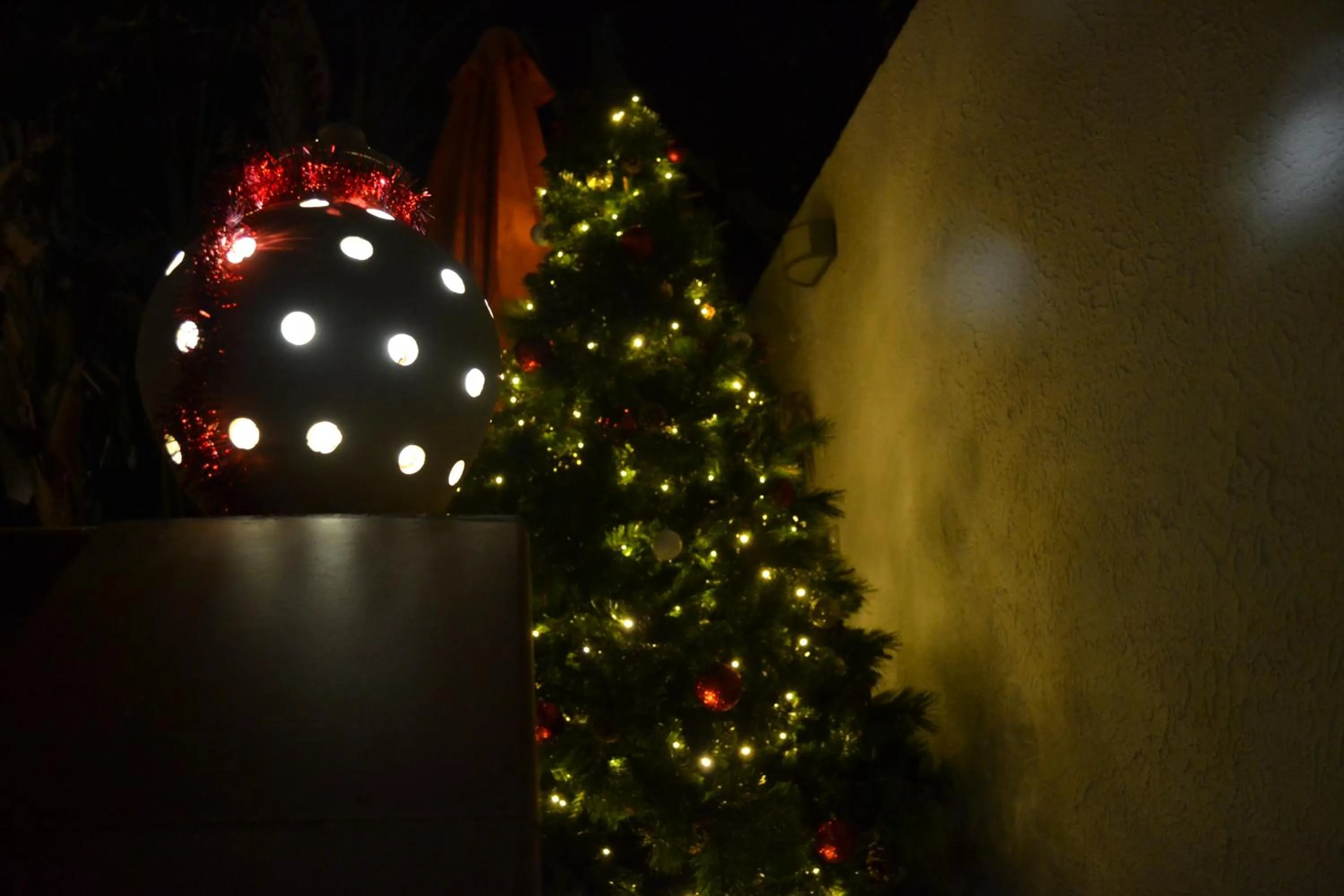 Garden in Il Cortiletto Di Piazza Verga