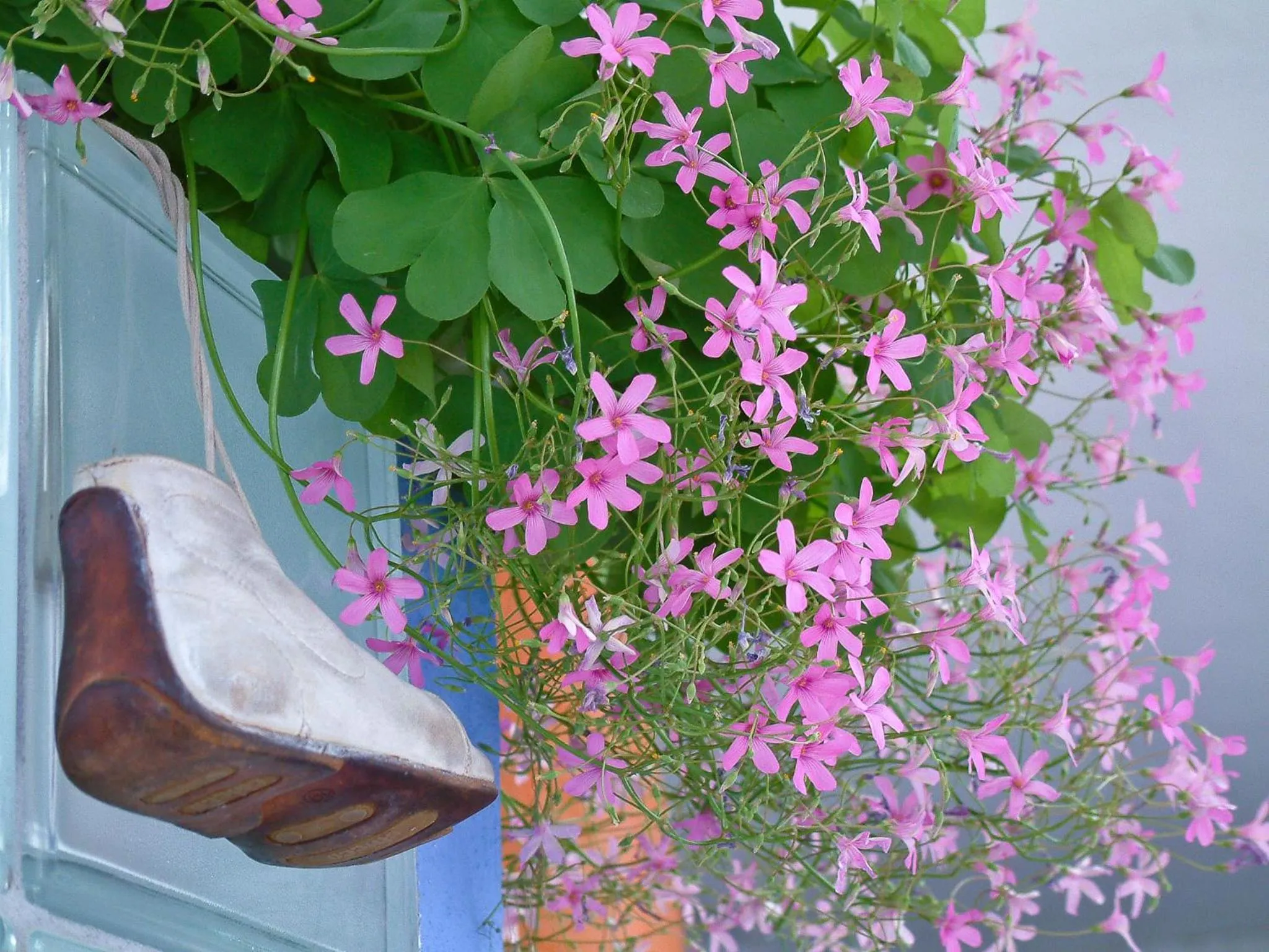 Other in La Estrella de Tarifa