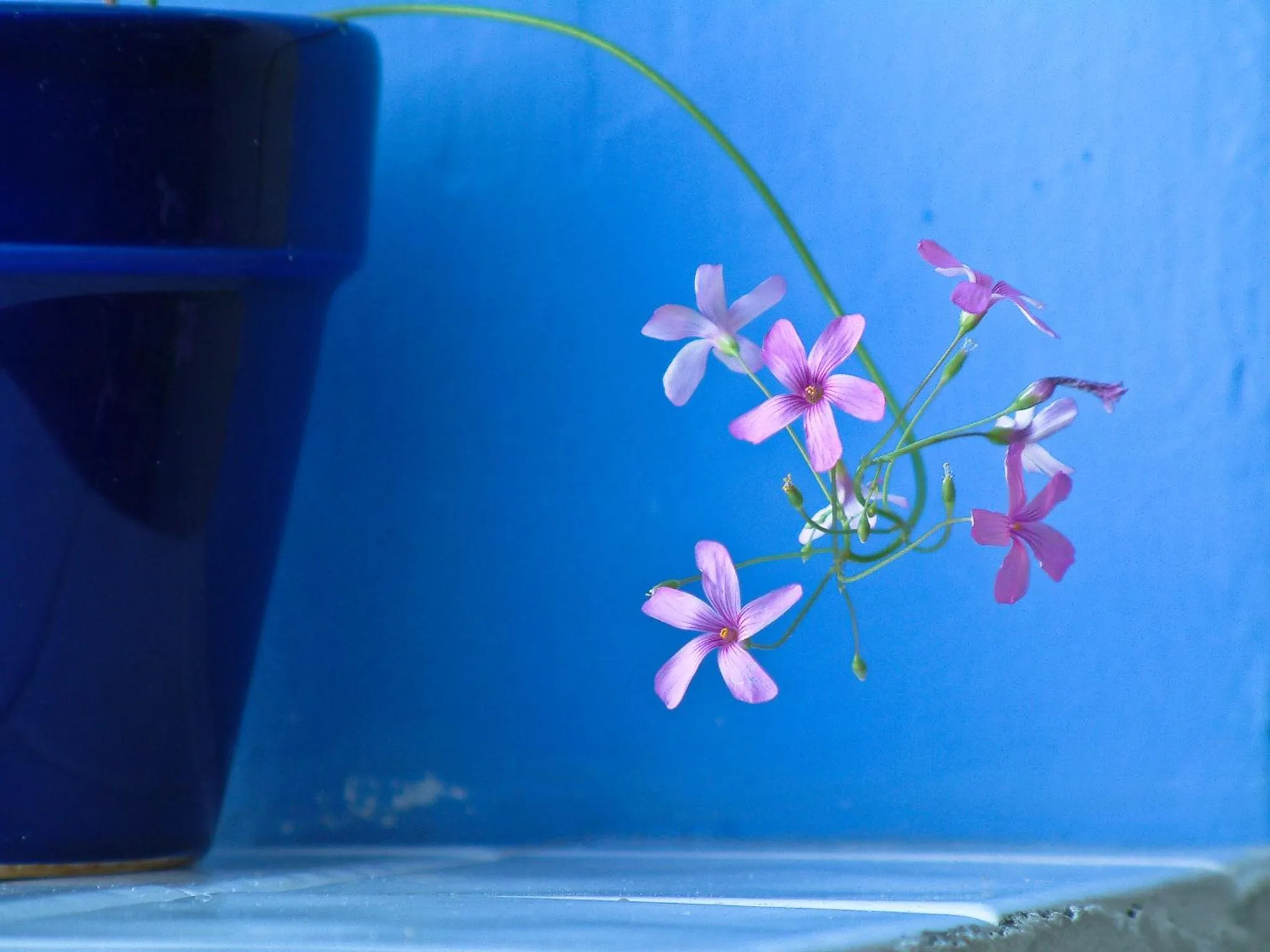 Other in La Estrella de Tarifa