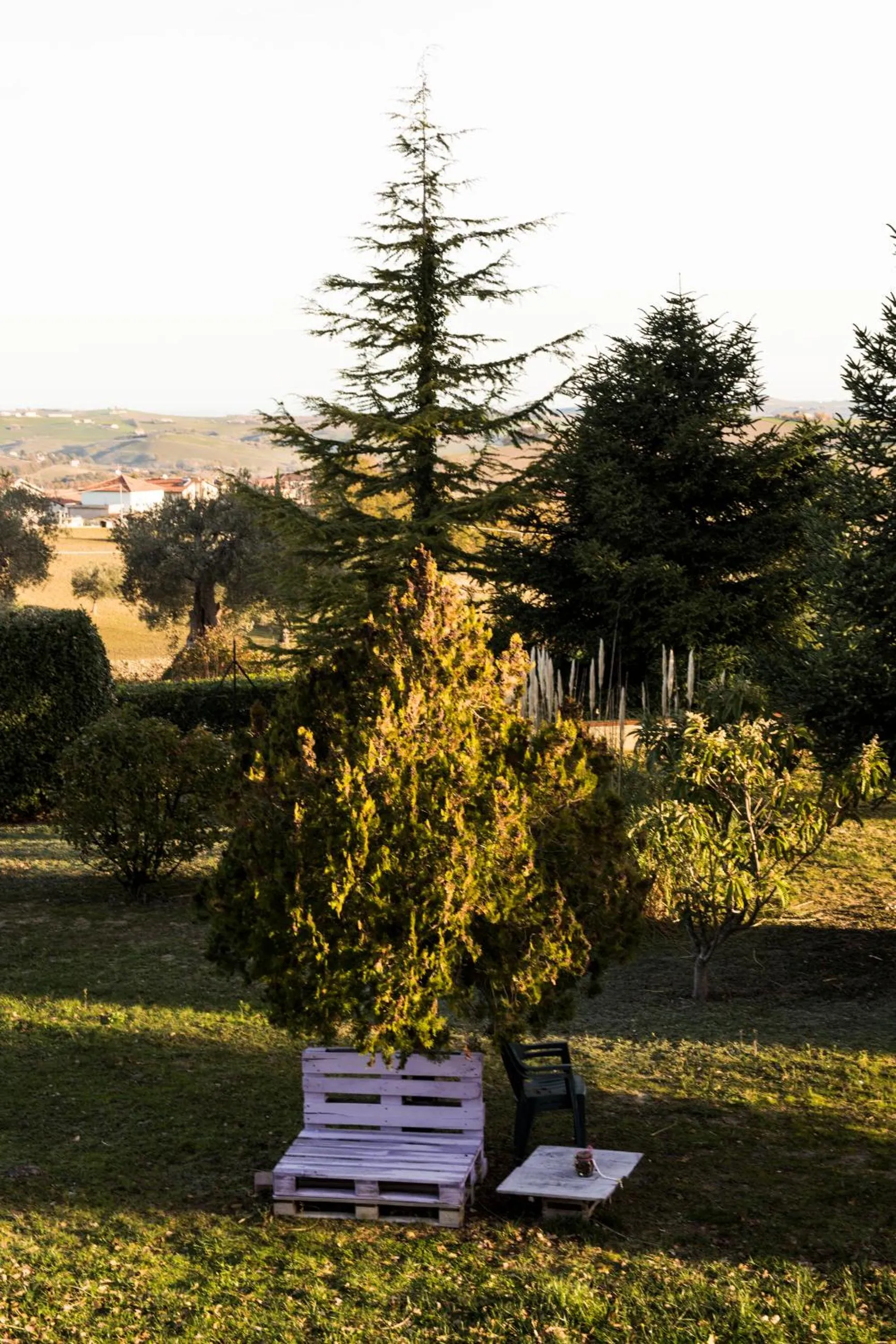 Garden in Amor di Lavanda