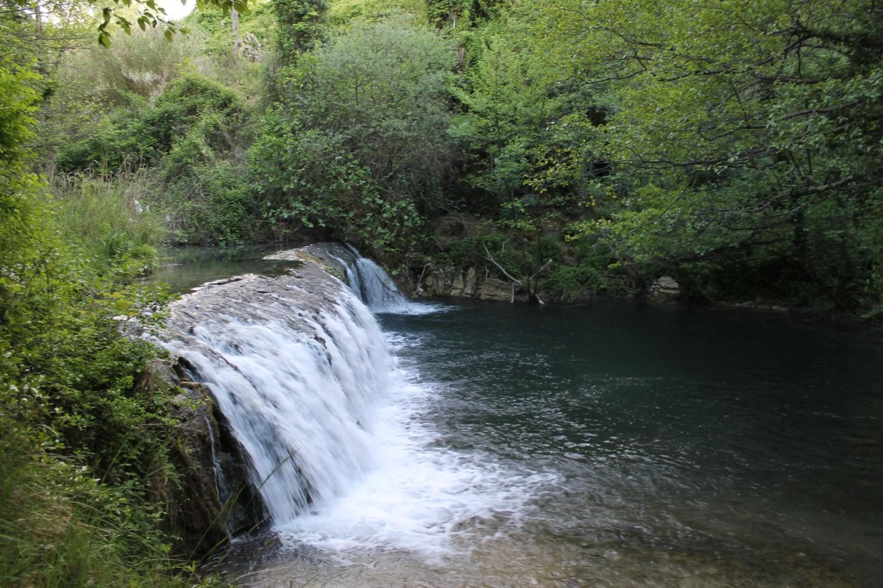 Spring in Amor di Lavanda