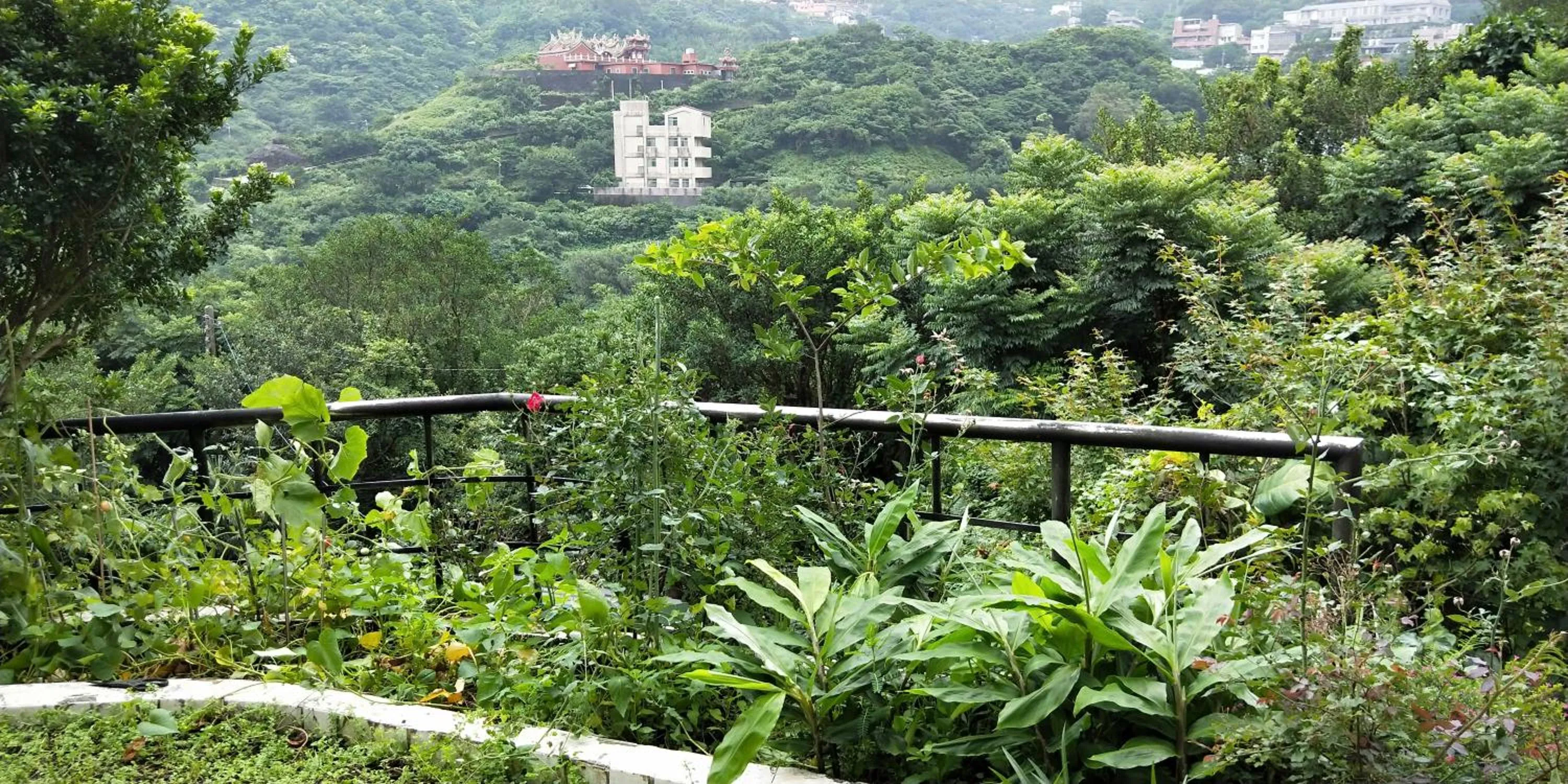Garden in Levite Villa