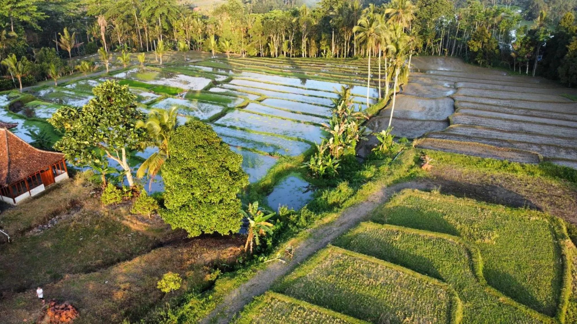 Property building in Kampoeng Joglo Ijen