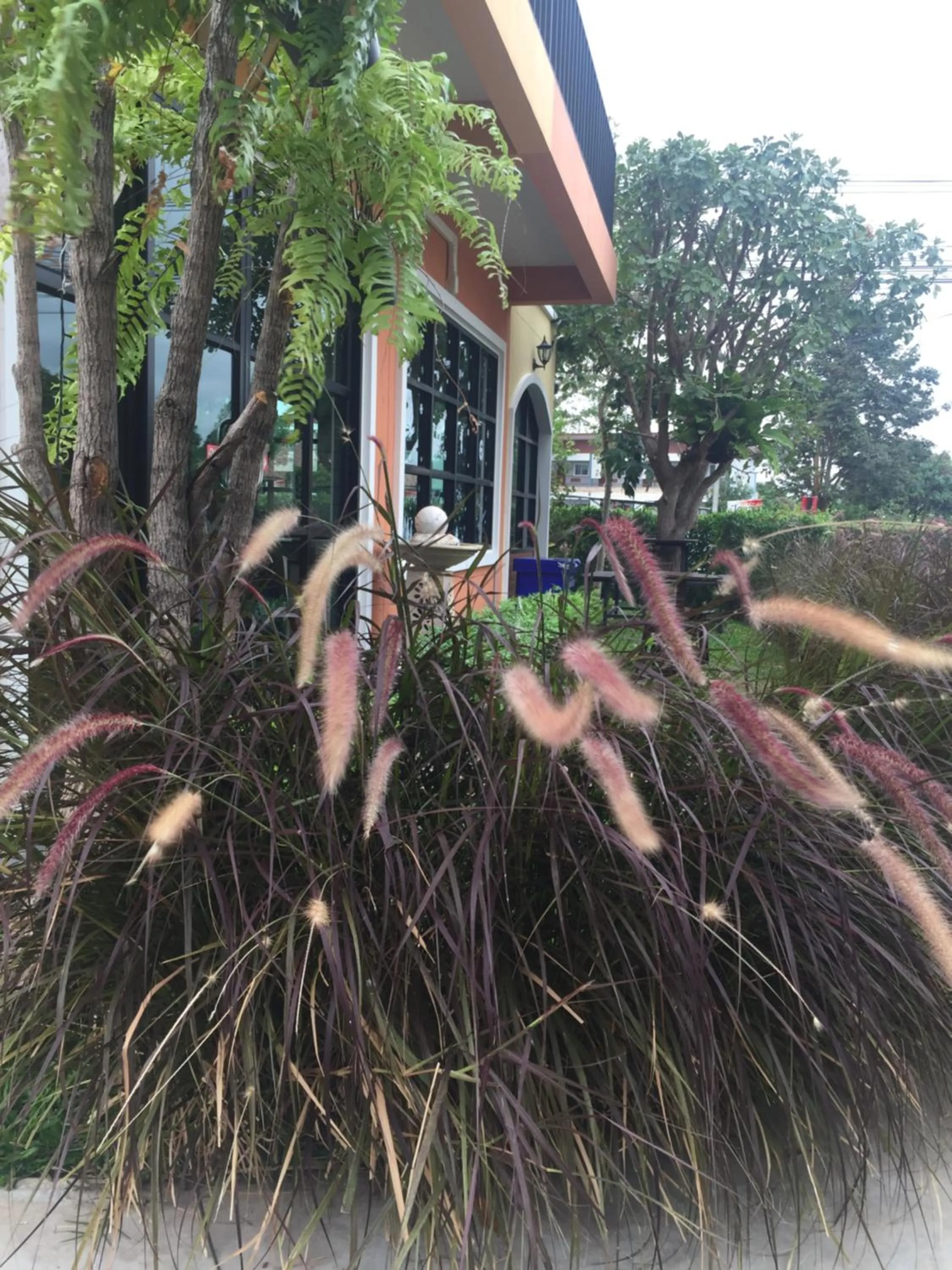 Sata House Boutique Resort