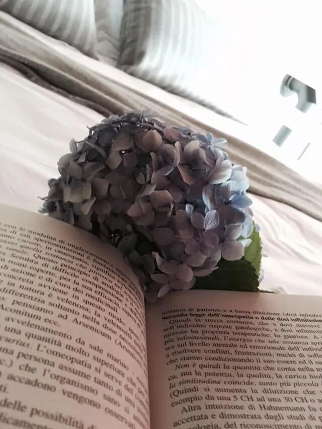 Bedroom in Chocolat au Lac