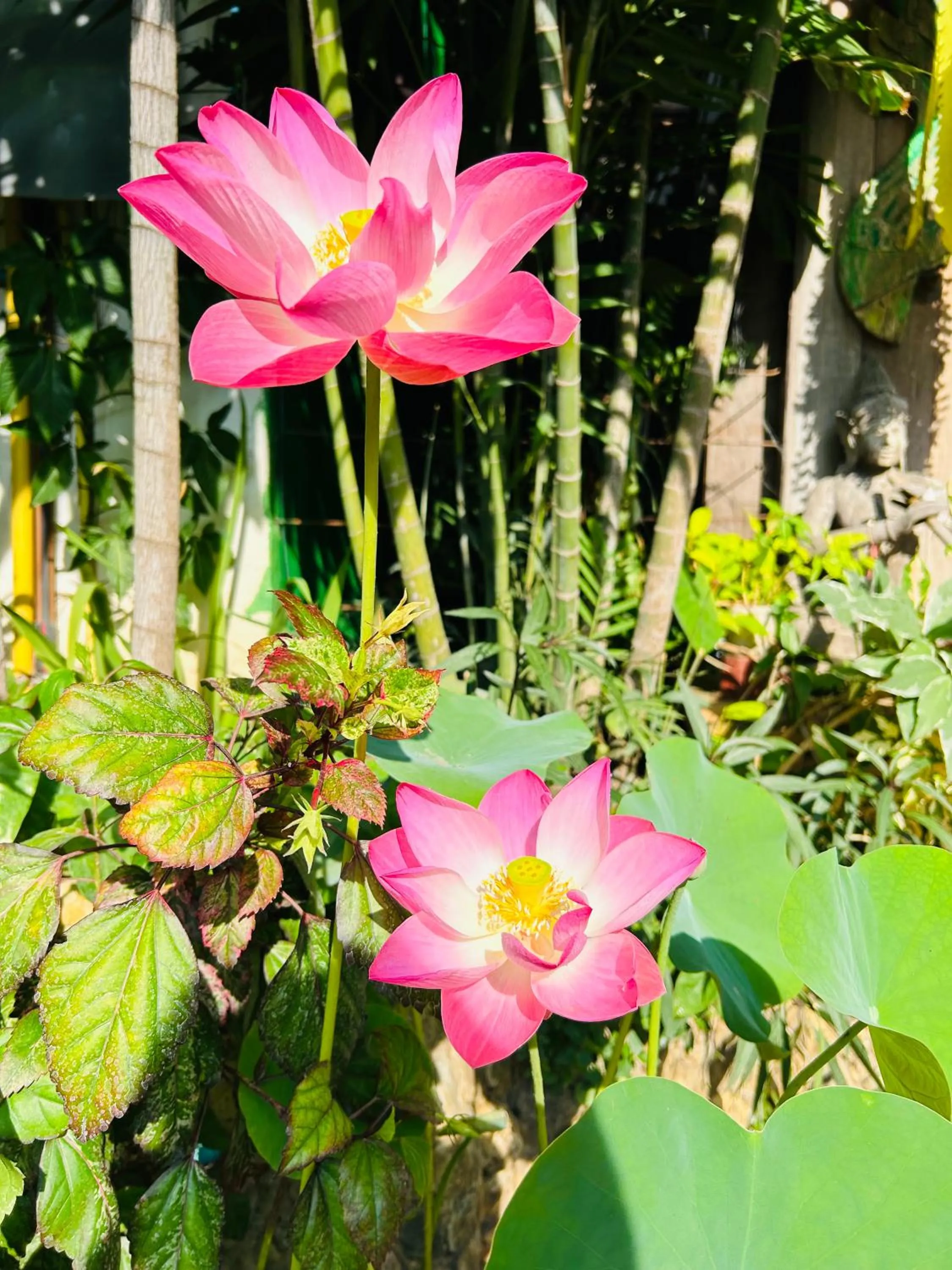 Spring in Hongkhao Village