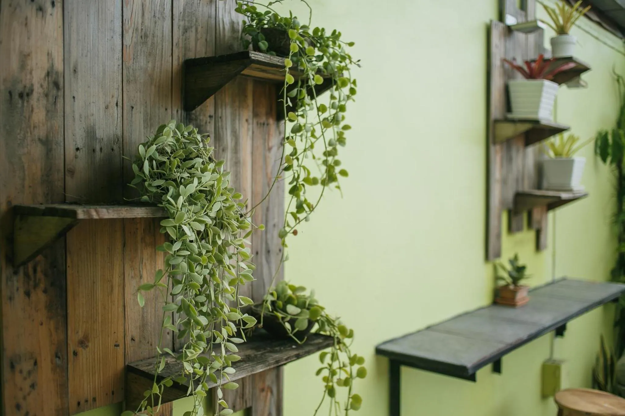 Garden in Malai Place Lampang