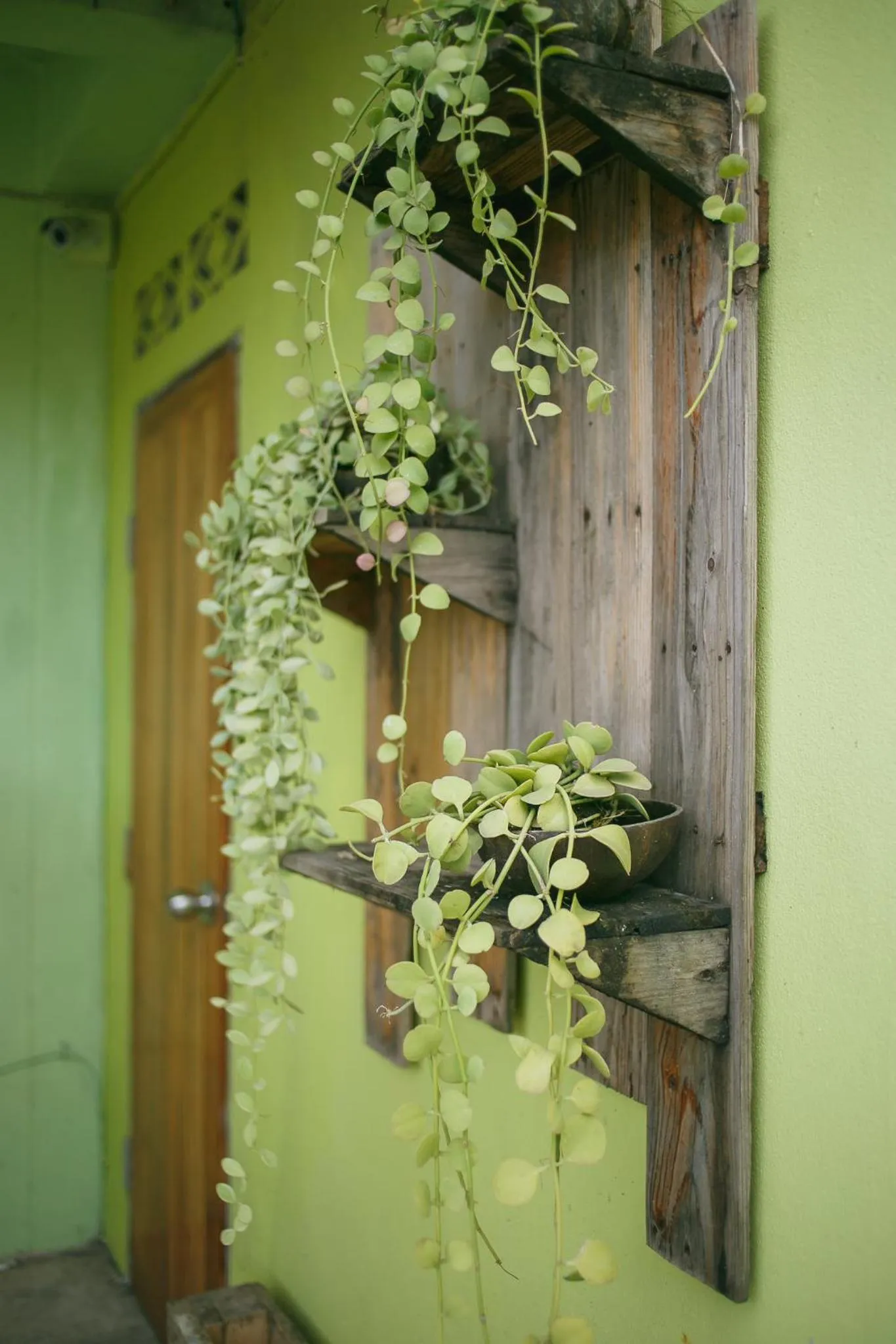 Garden in Malai Place Lampang