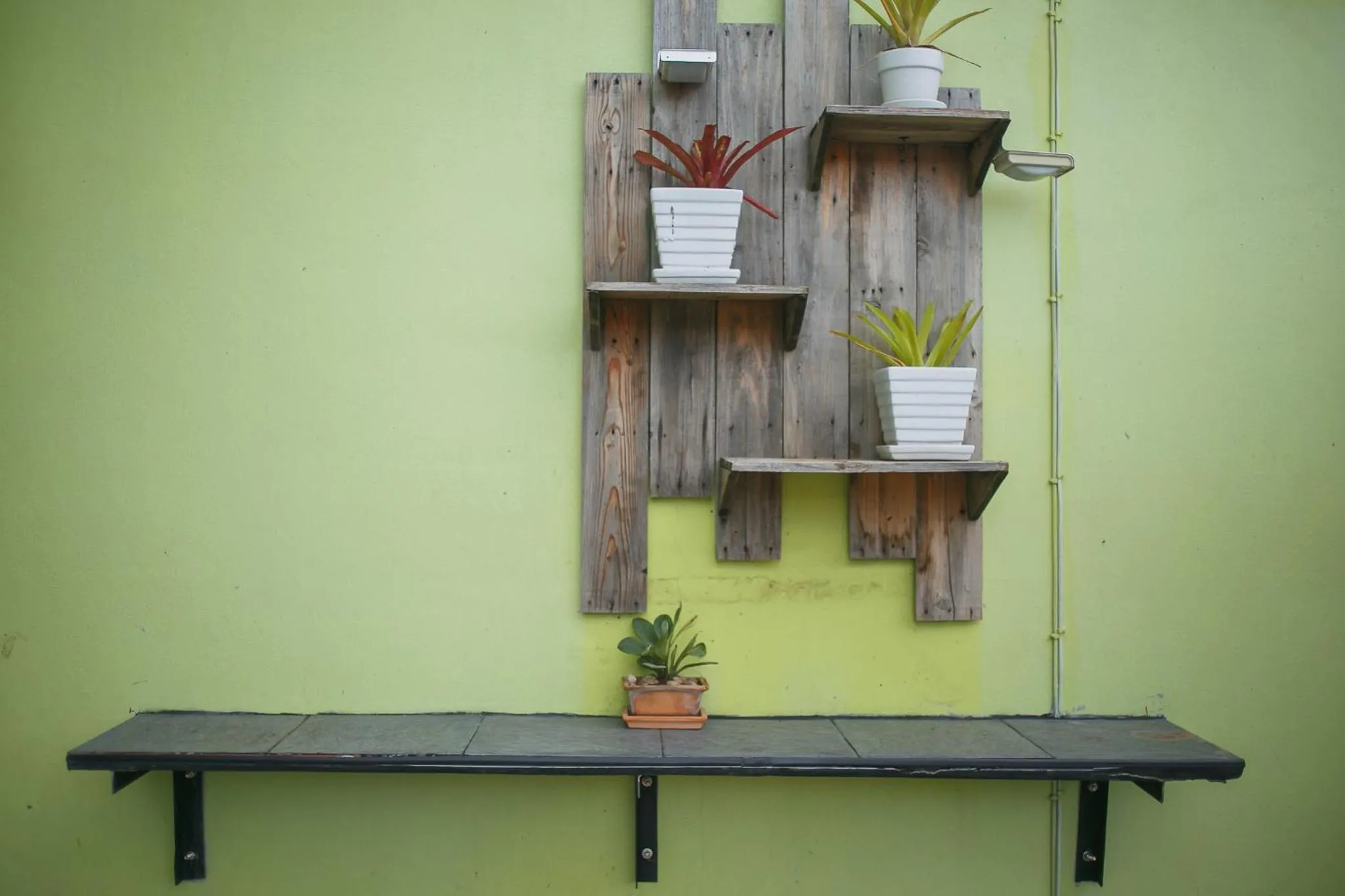 Garden in Malai Place Lampang