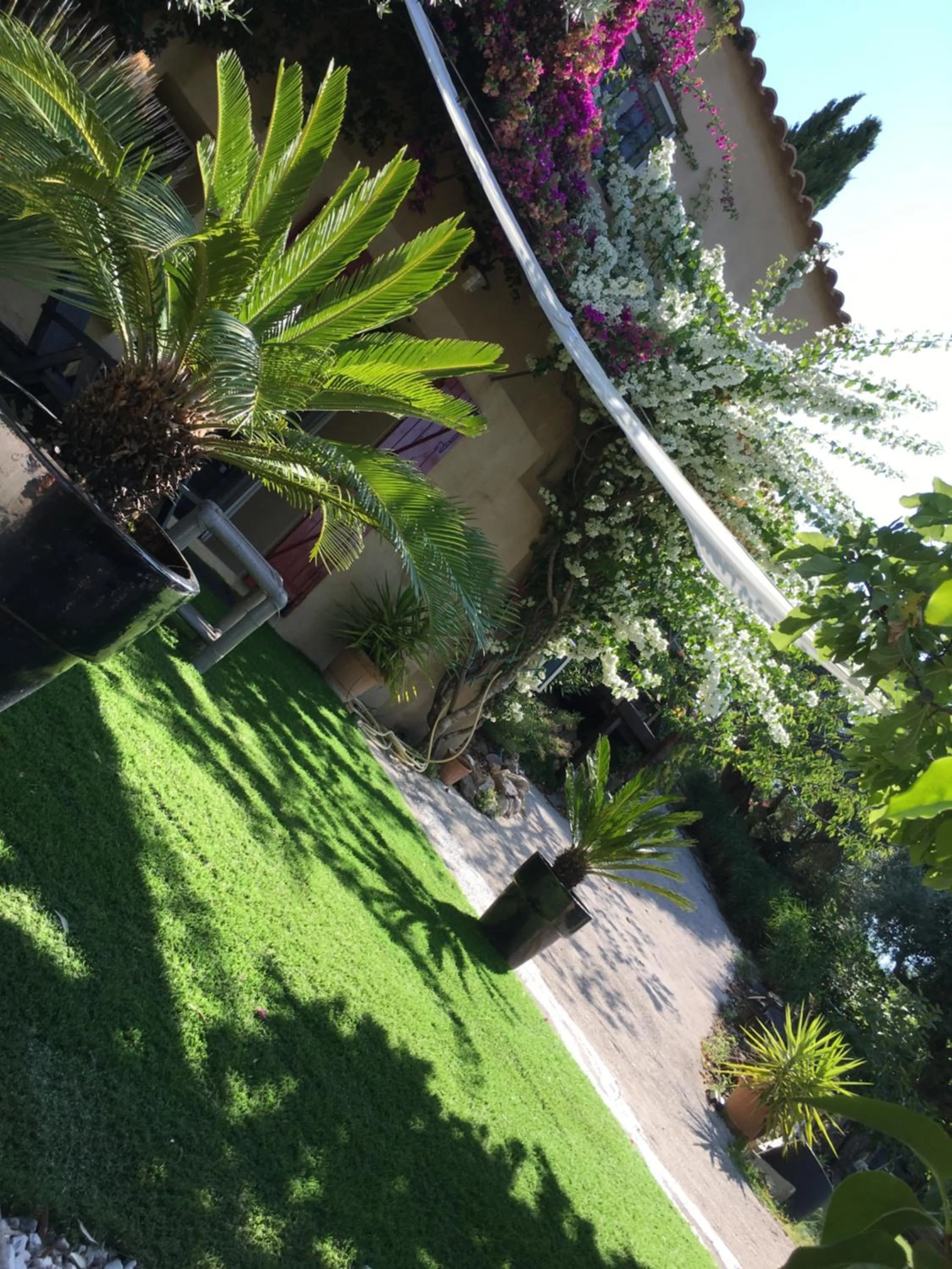 Les terrasses sur mer