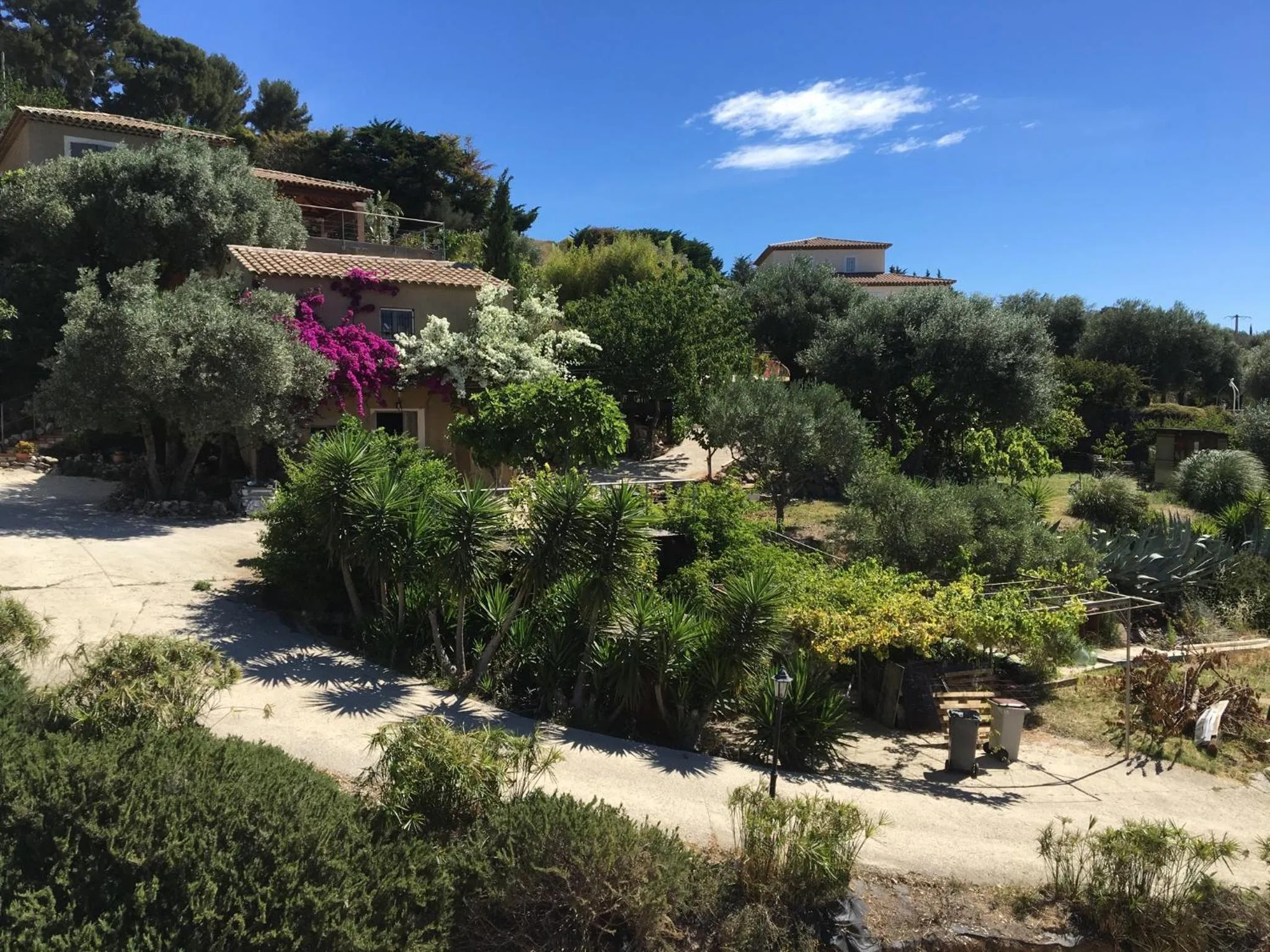 Garden in Les terrasses sur mer