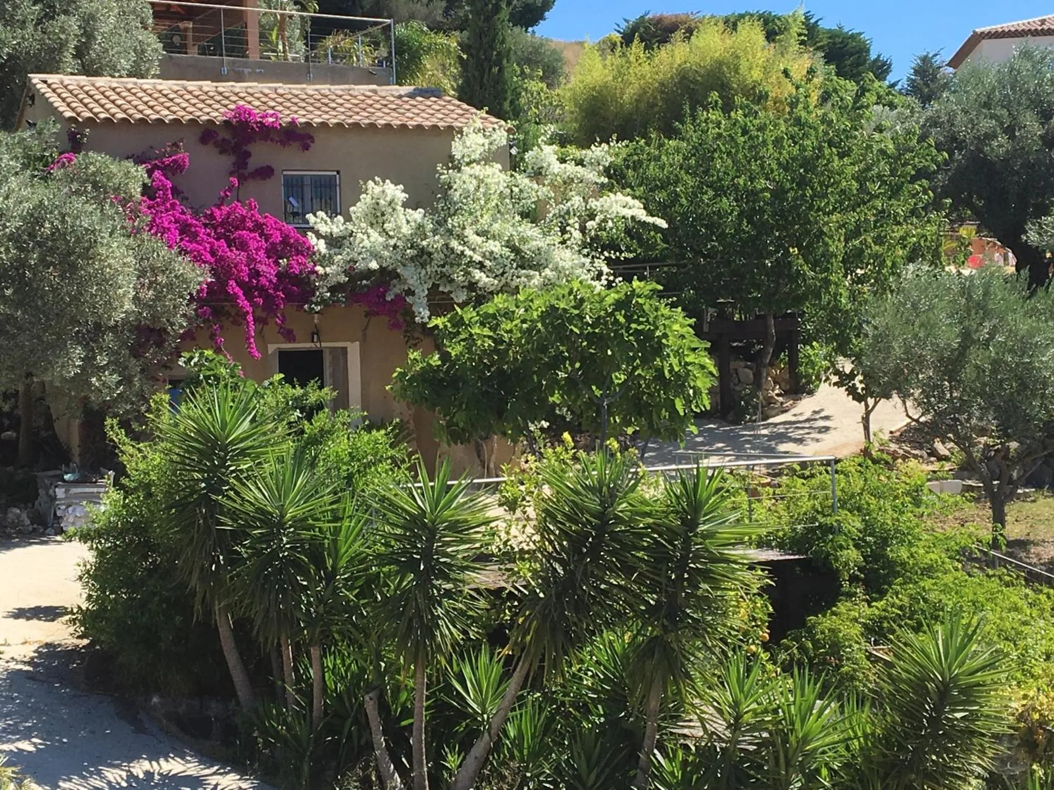 Garden in Les terrasses sur mer