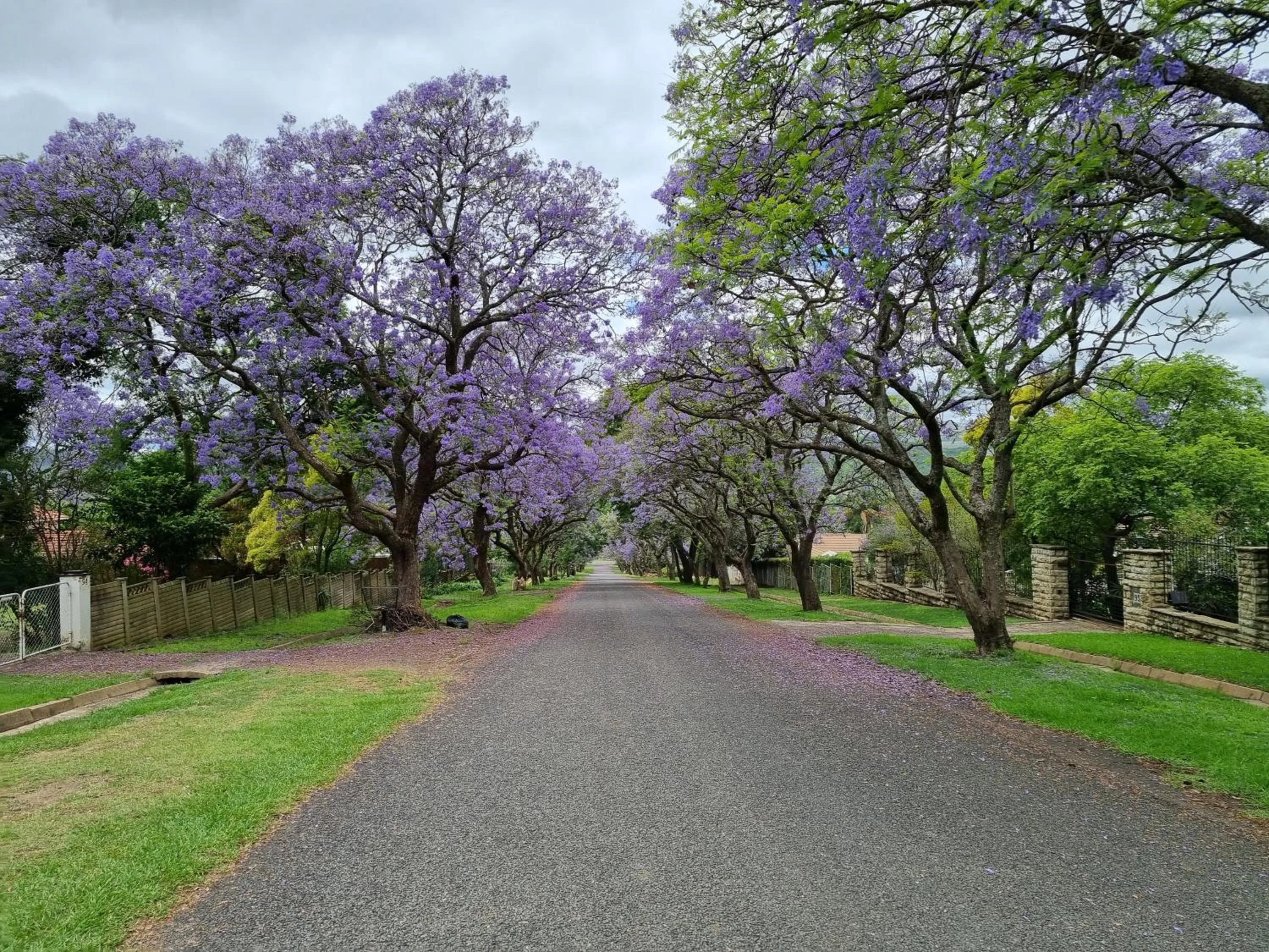Natural landscape in At Home BB
