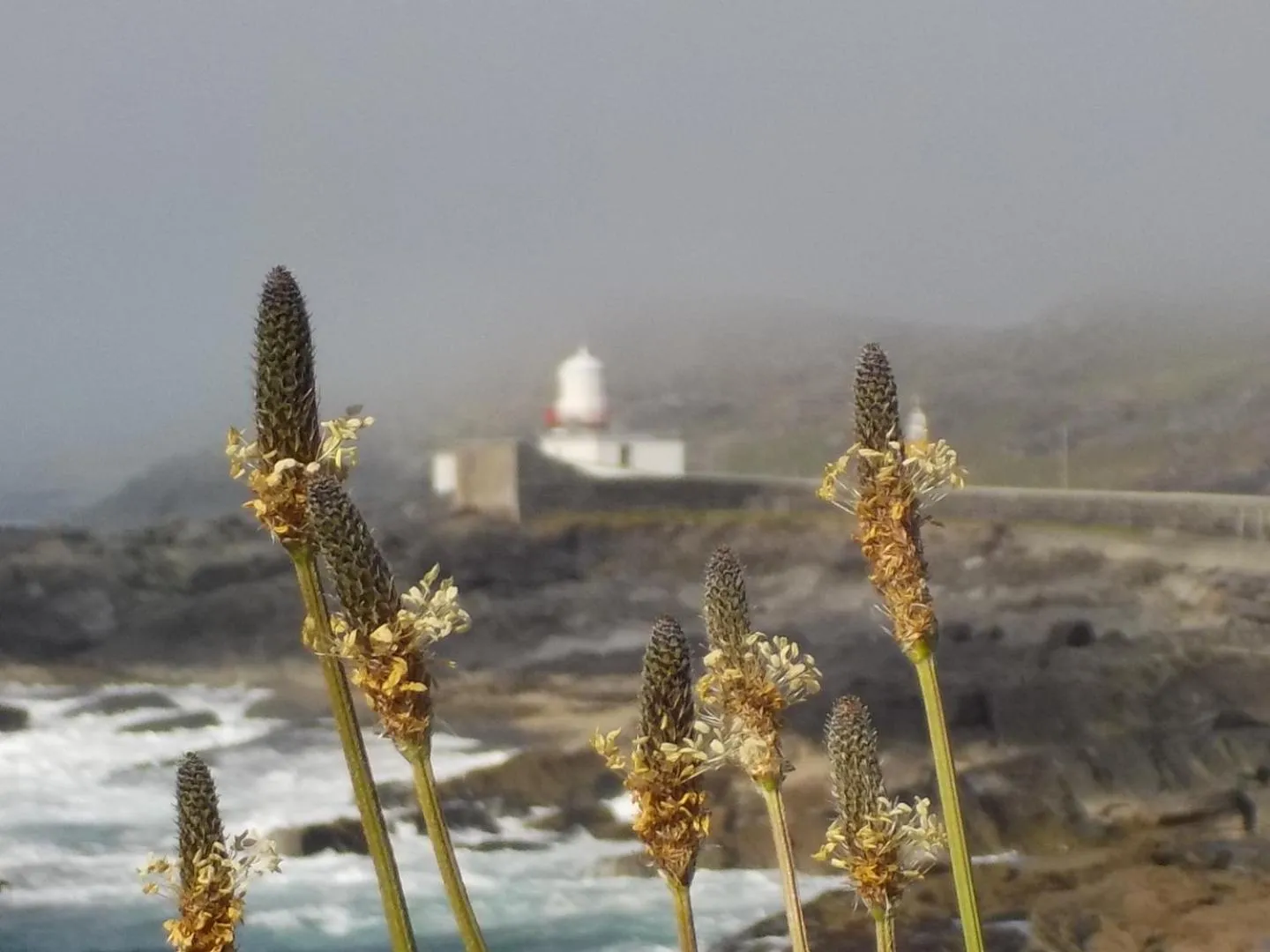 Horizon View Lodge Bed and Breakfast Glanleam Road Knightstown Valentia Island County Kerry V23 W447 Ireland