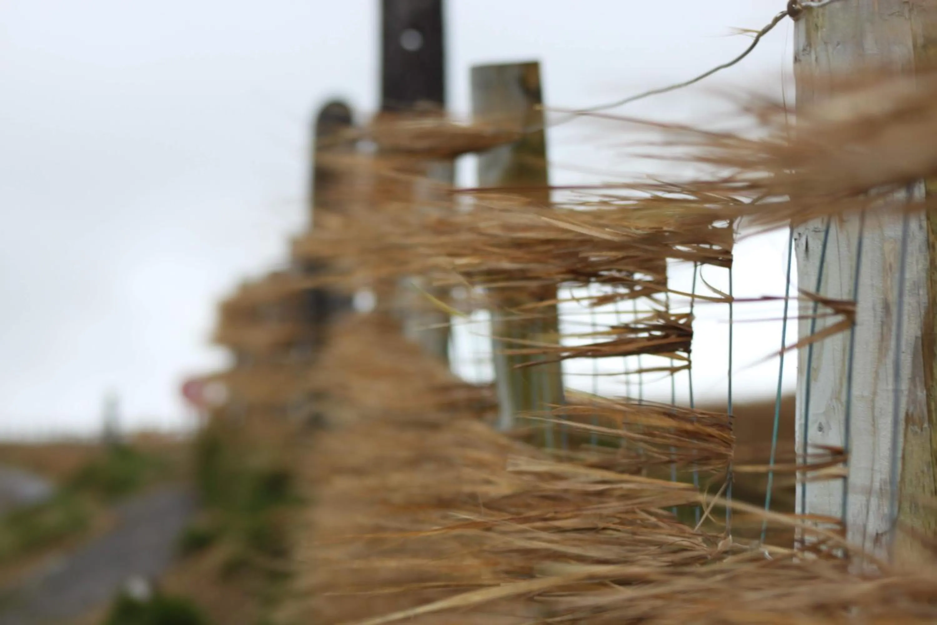 Horizon View Lodge Bed and Breakfast Glanleam Road Knightstown Valentia Island County Kerry V23 W447 Ireland