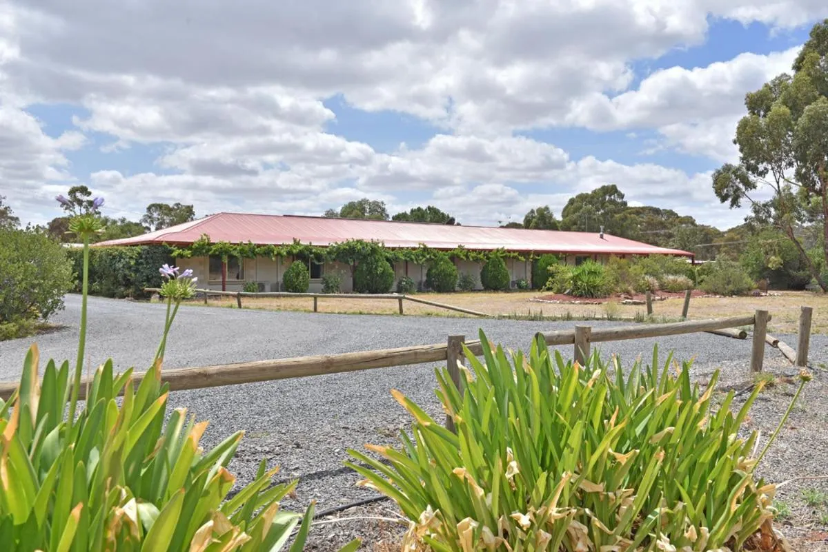 Garden in Inglewood Motel and Caravan Park Victoria
