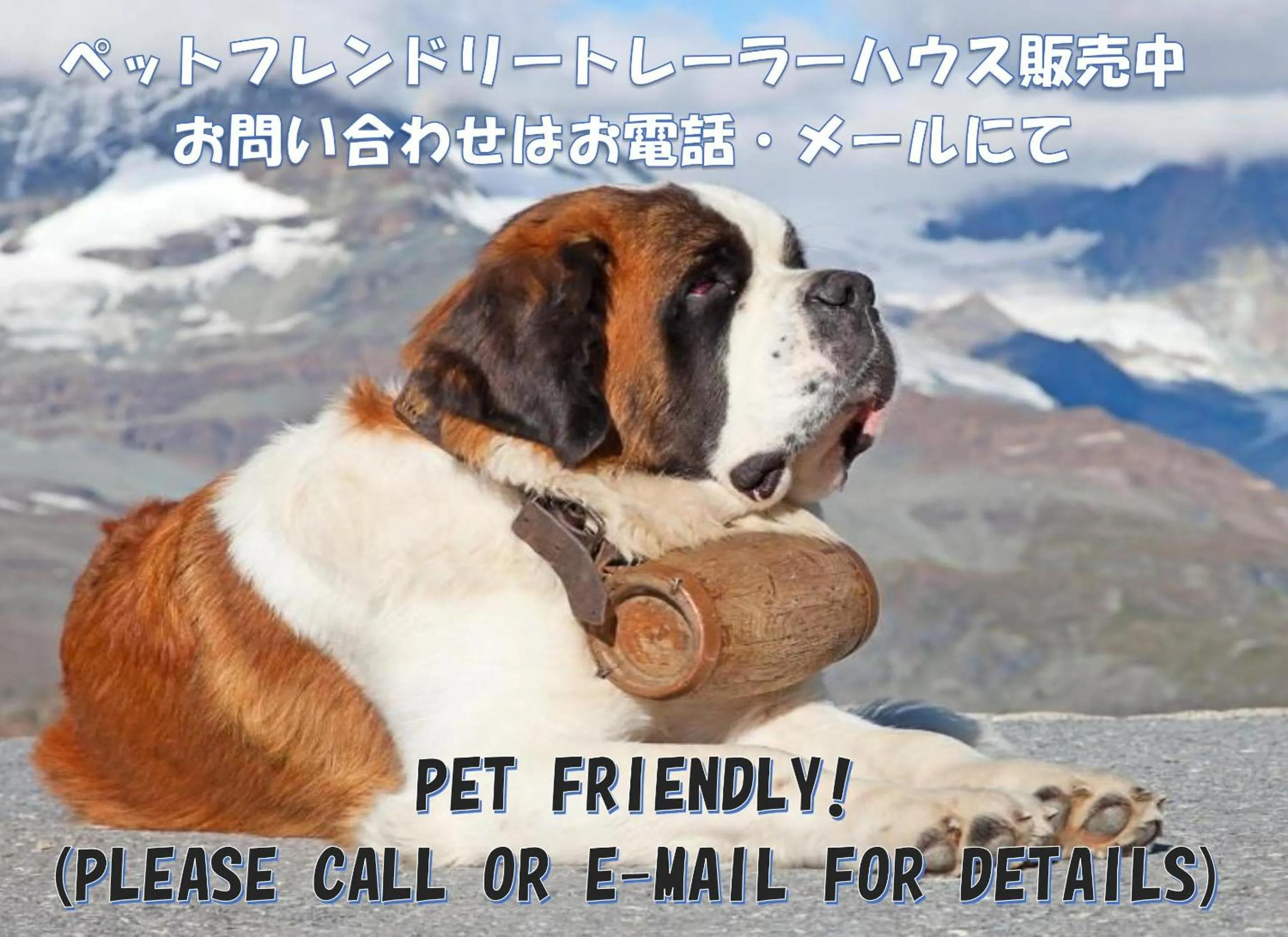 Bathroom in Hakuba Canadian Lodge