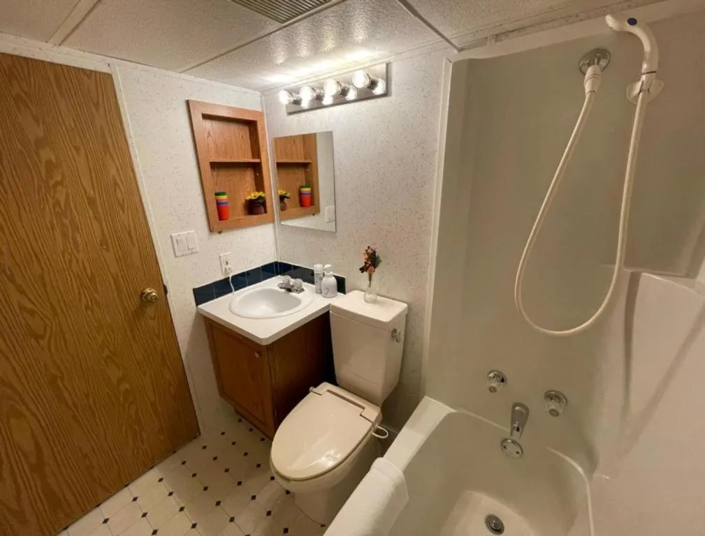 Toilet in Hakuba Canadian Lodge