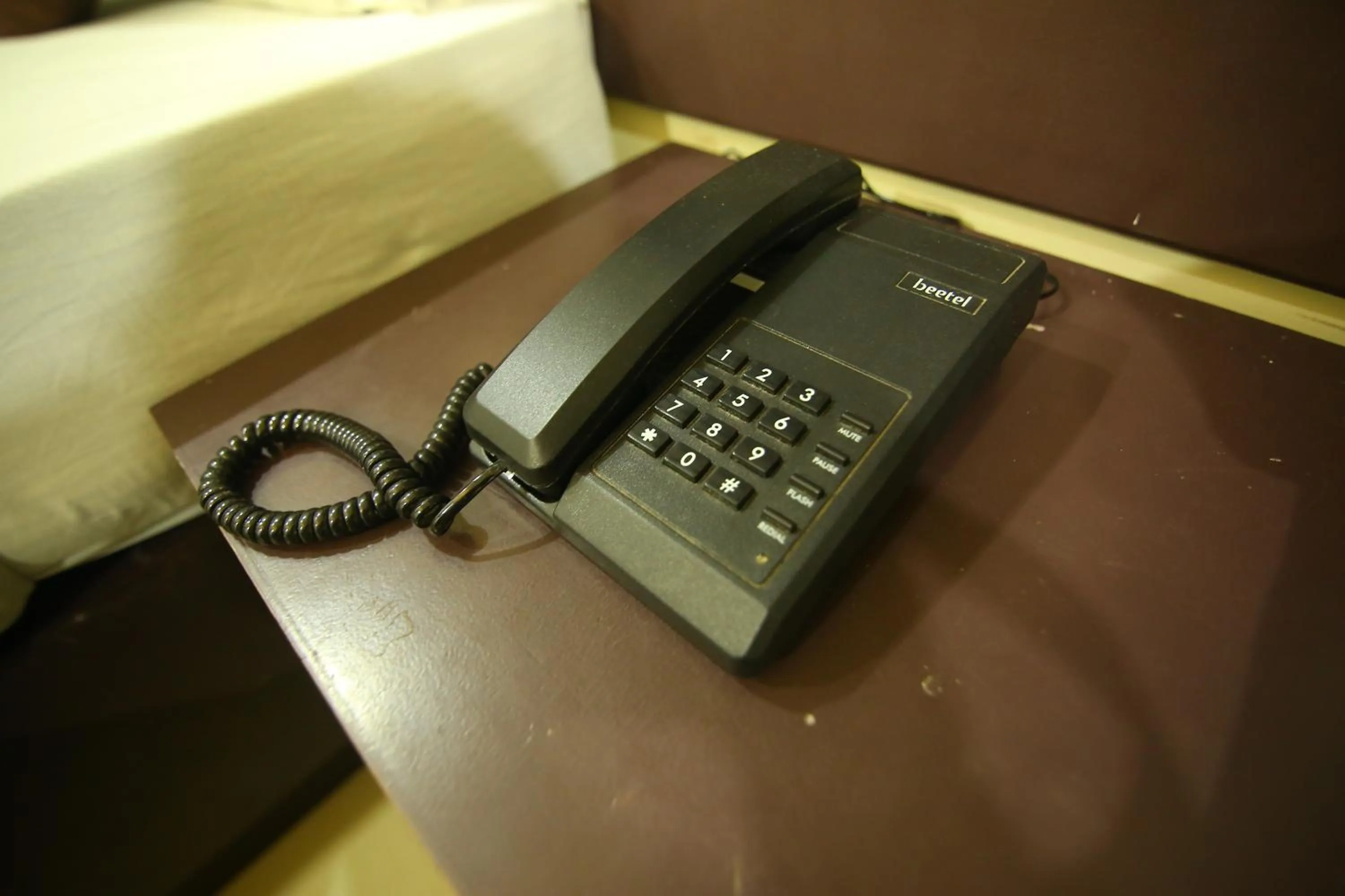 Business facilities in Hotel White Mount