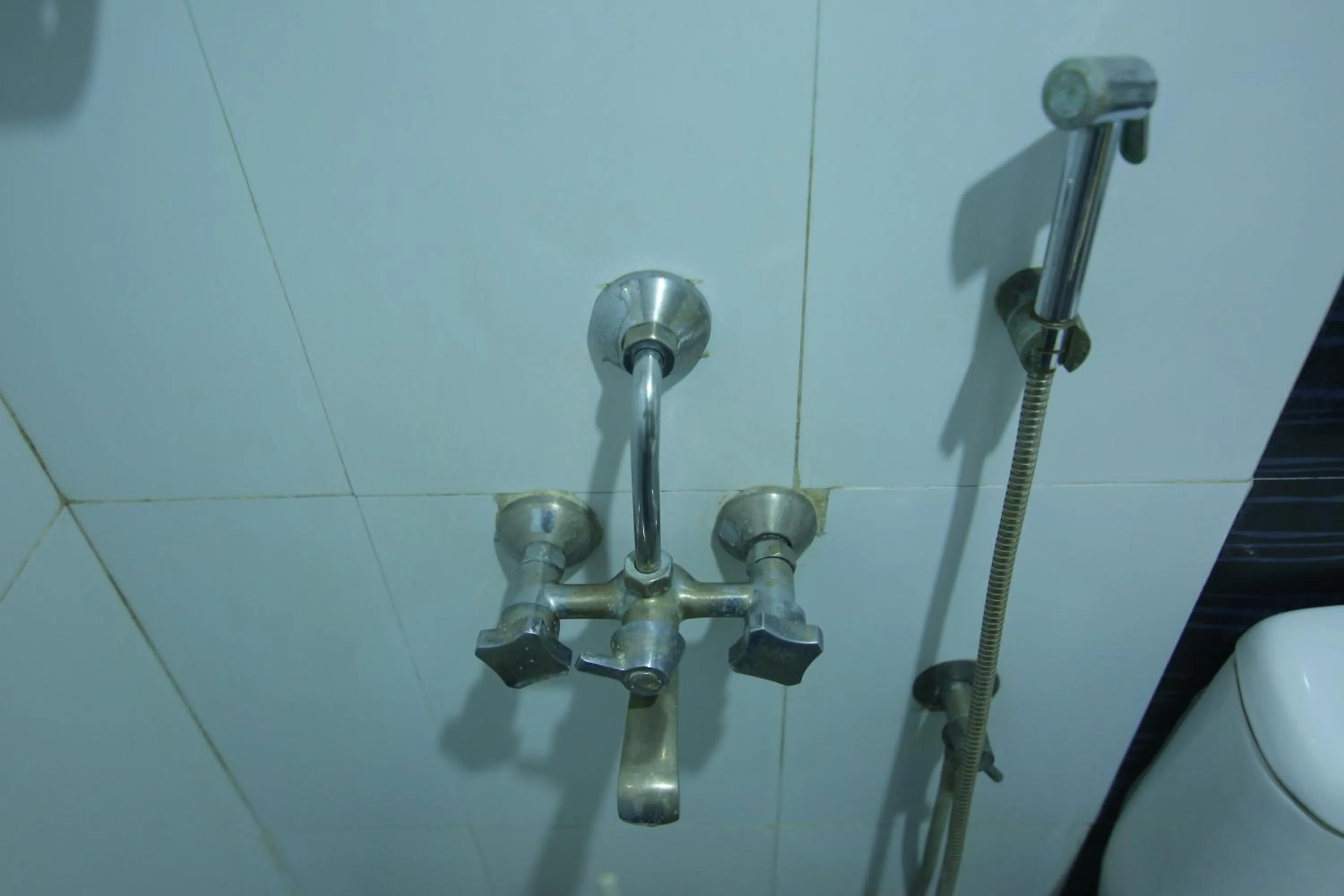 Bathroom in Hotel White Mount