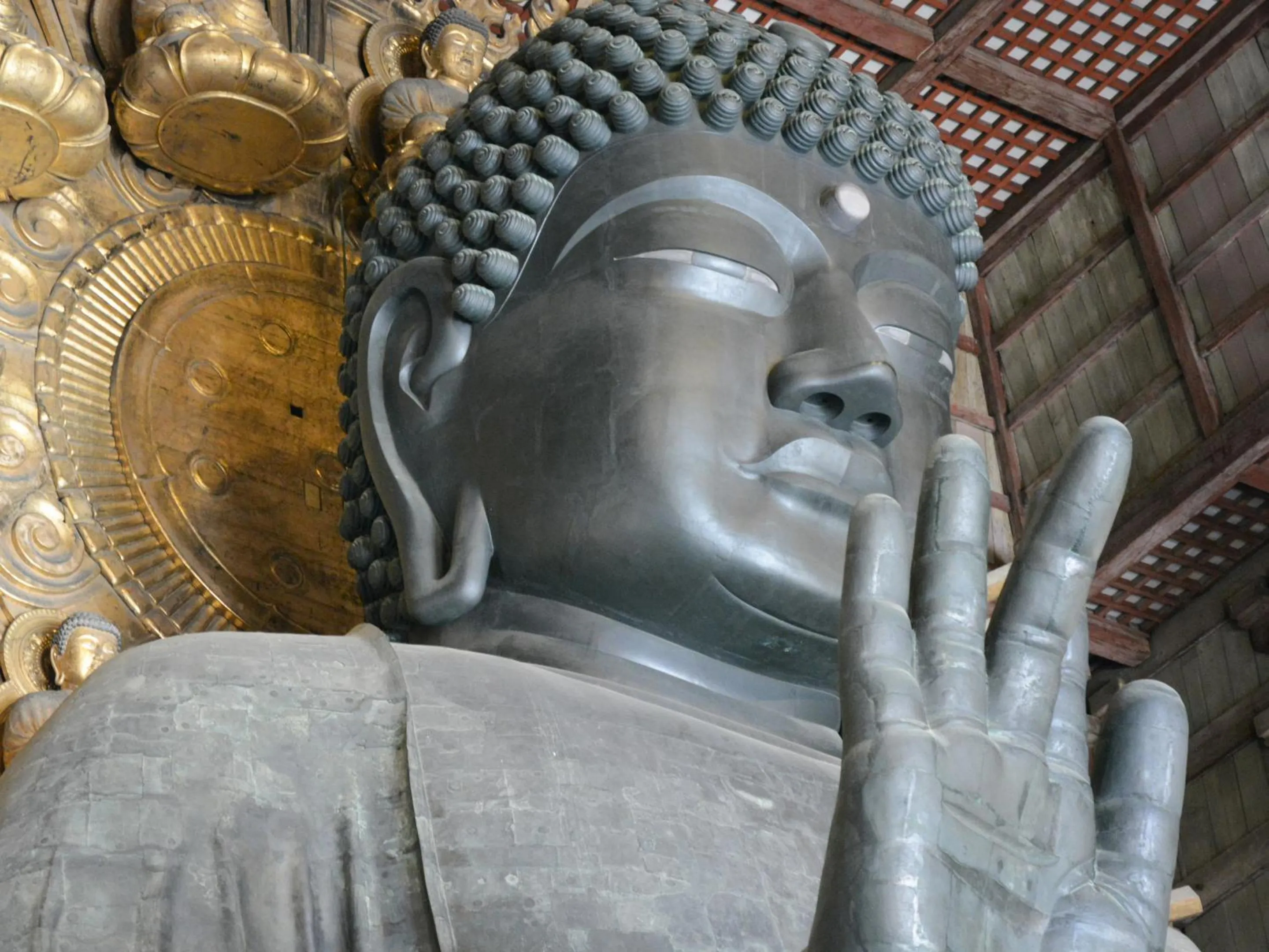 Nearby landmark in Hotel Cotton 100%