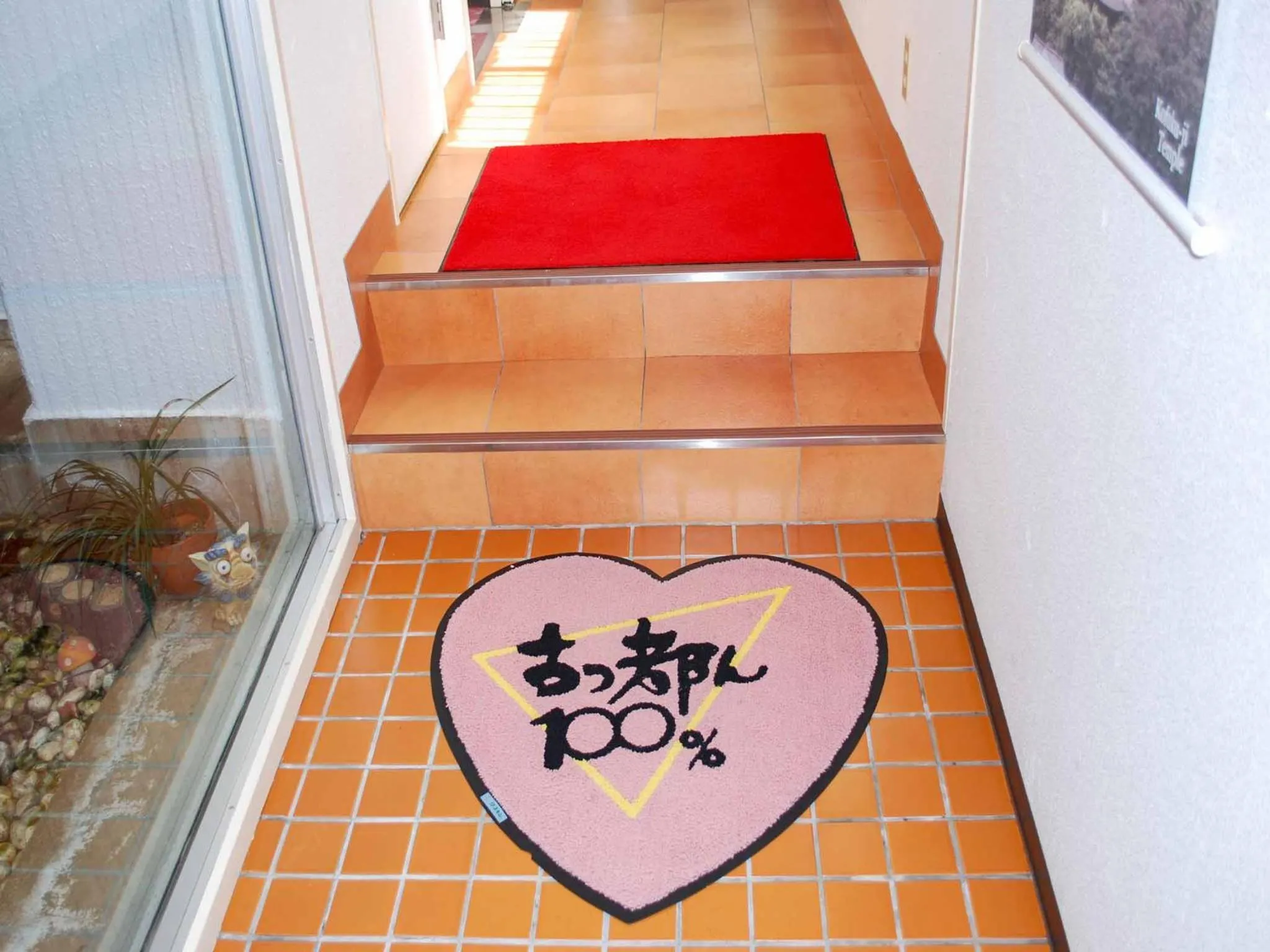 Other in Hotel Cotton 100%