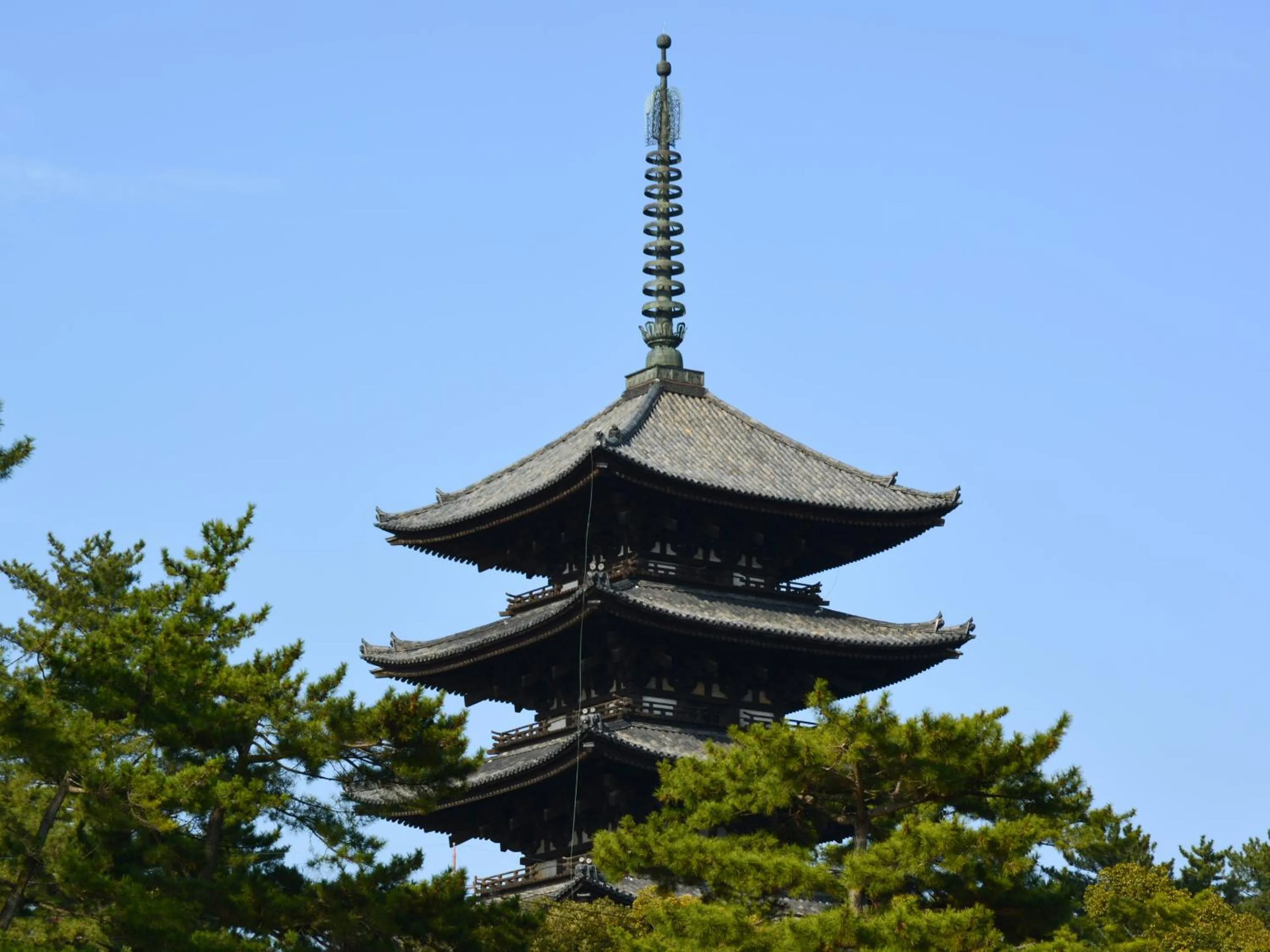 Nearby landmark in Hotel Cotton 100%