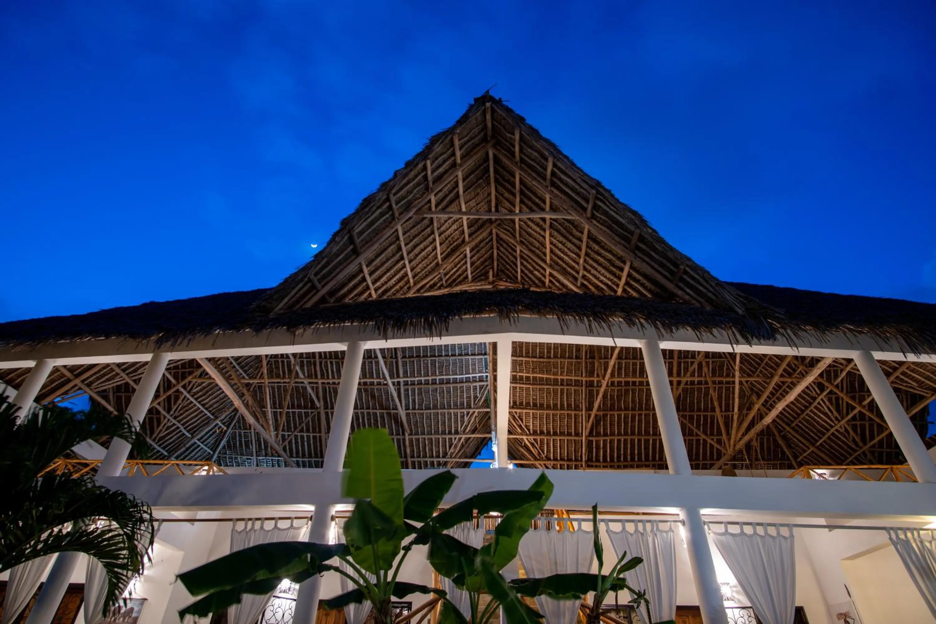 Night in Rafiki Village