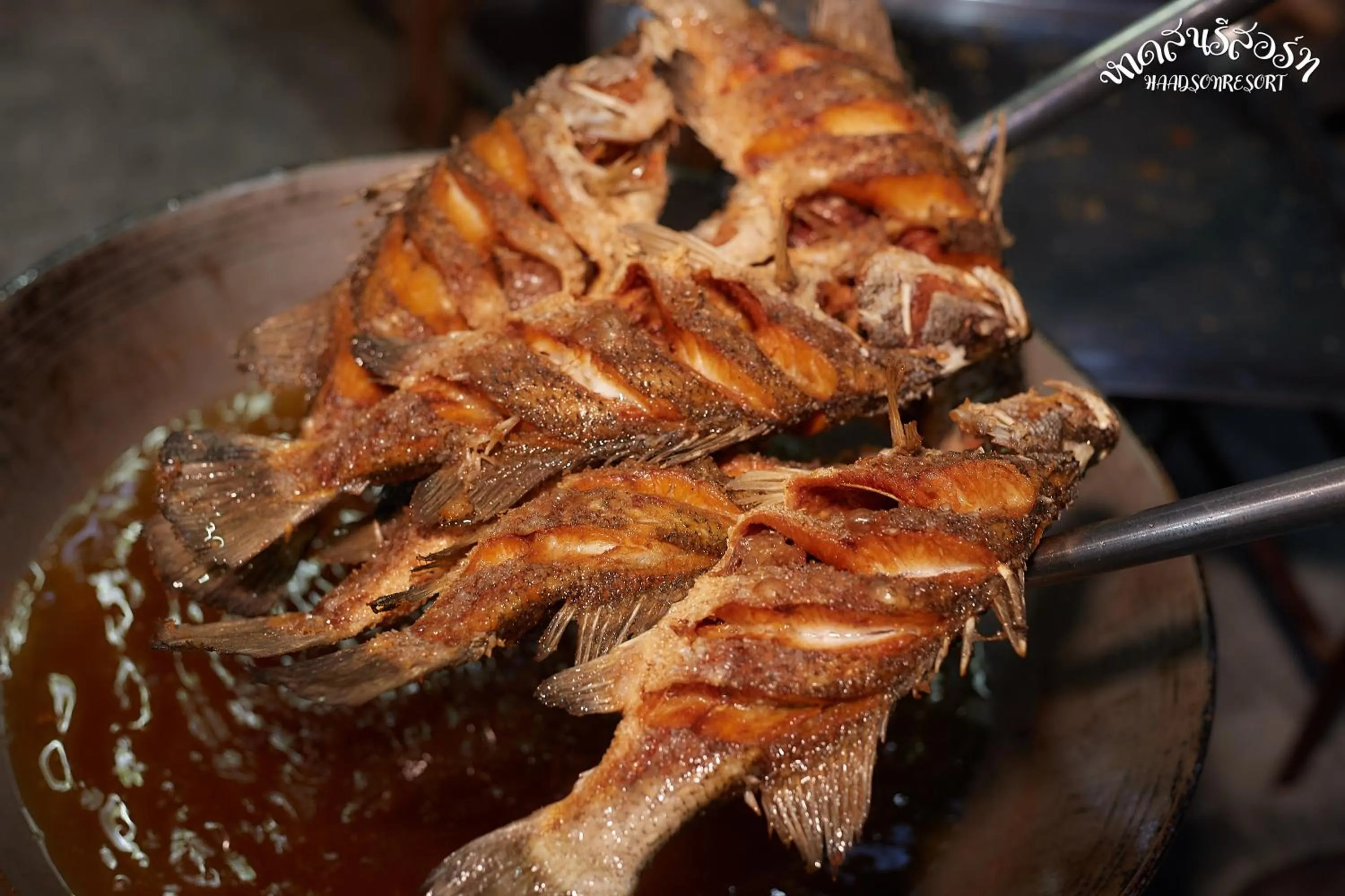 Restaurant/places to eat in HaadSon Resort