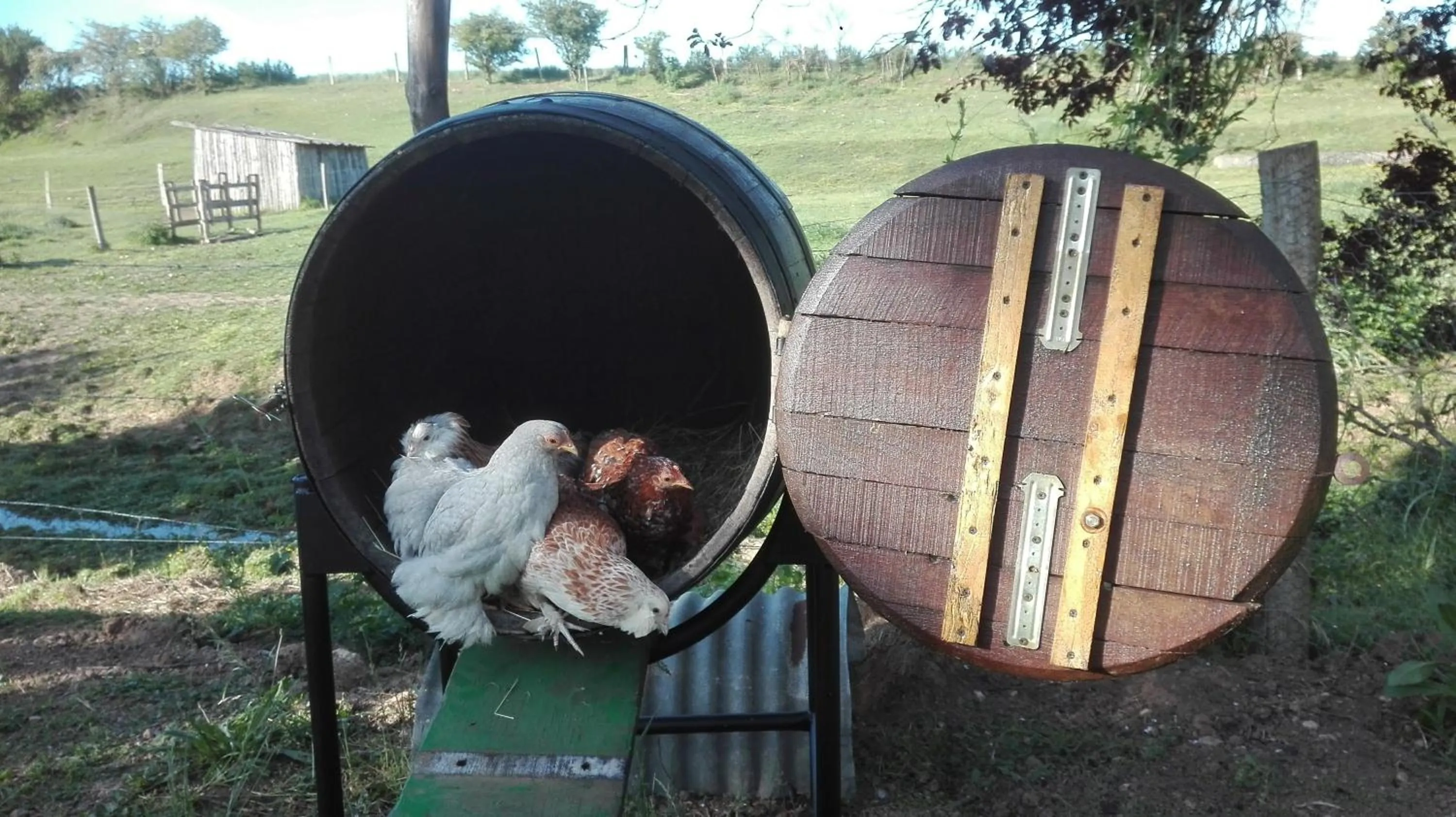 Activities in Ferme de Bellevue