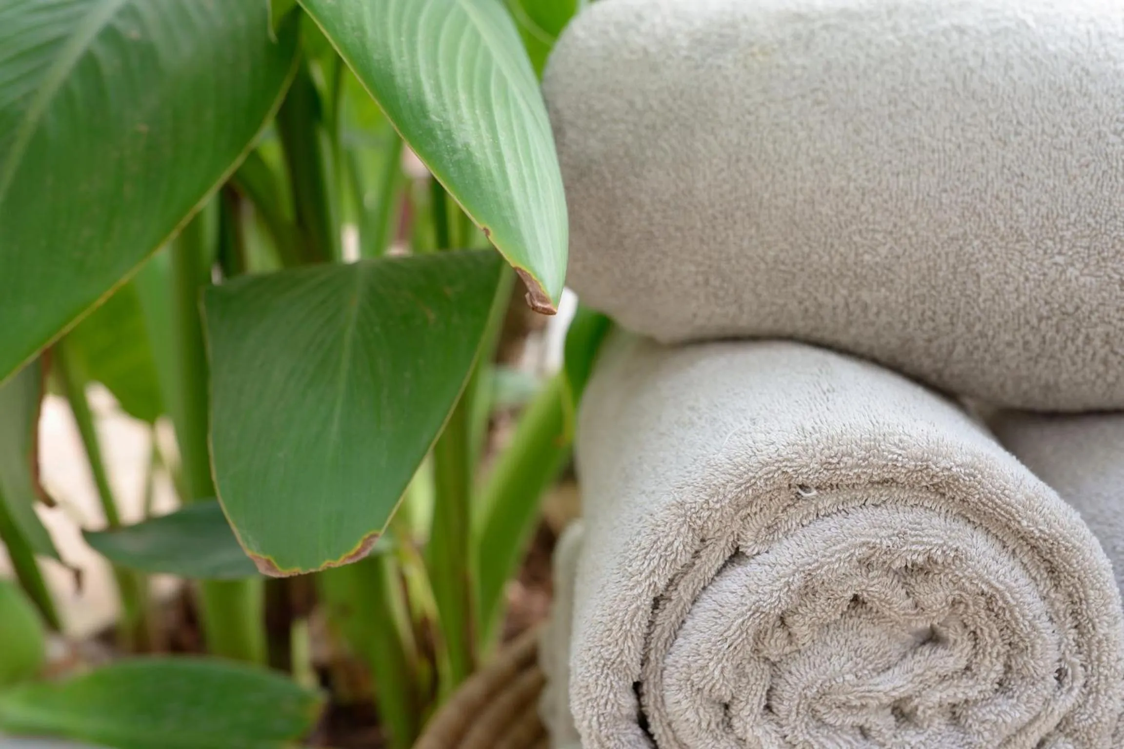 Decorative detail in Riad Azzar