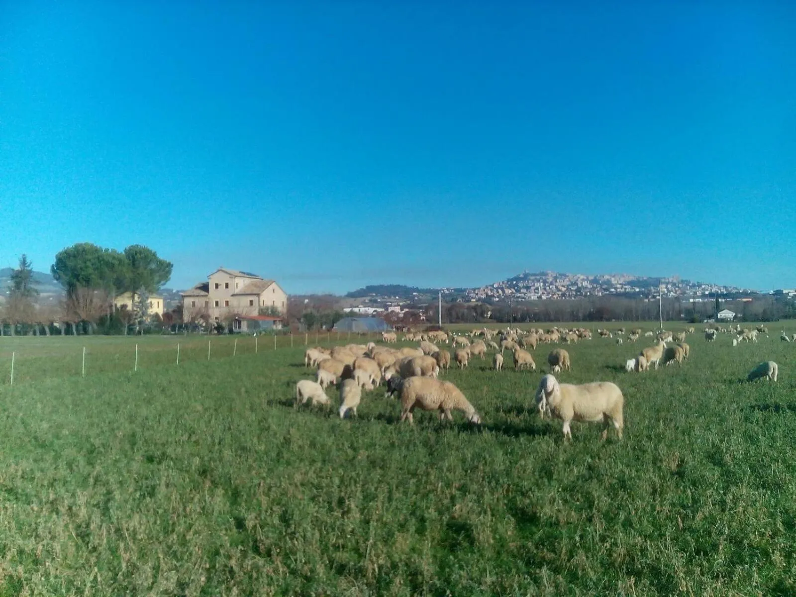 Day in Alla Bigattiera