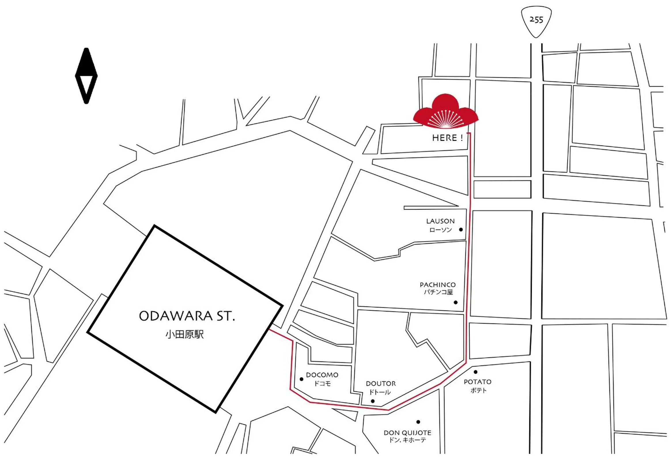 Bird's eye view in plumhostel