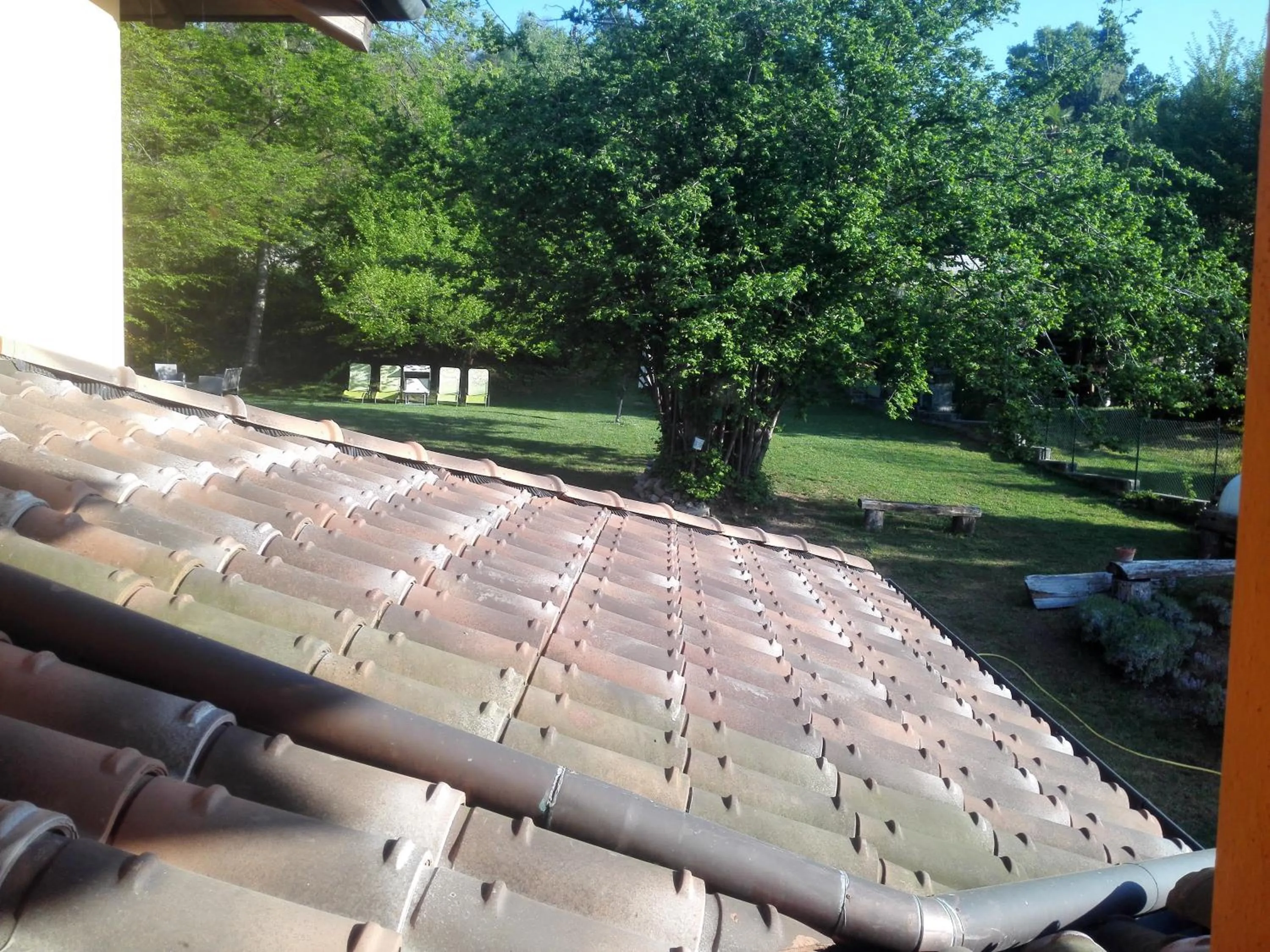 Garden in B&B Villa Claudia