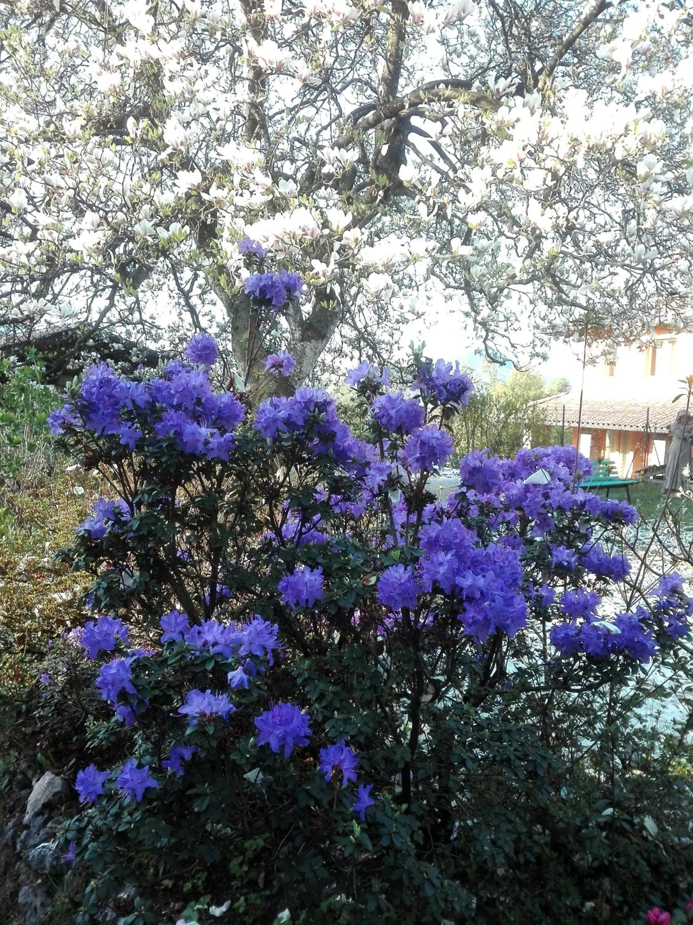 Decorative detail in B&B Villa Claudia