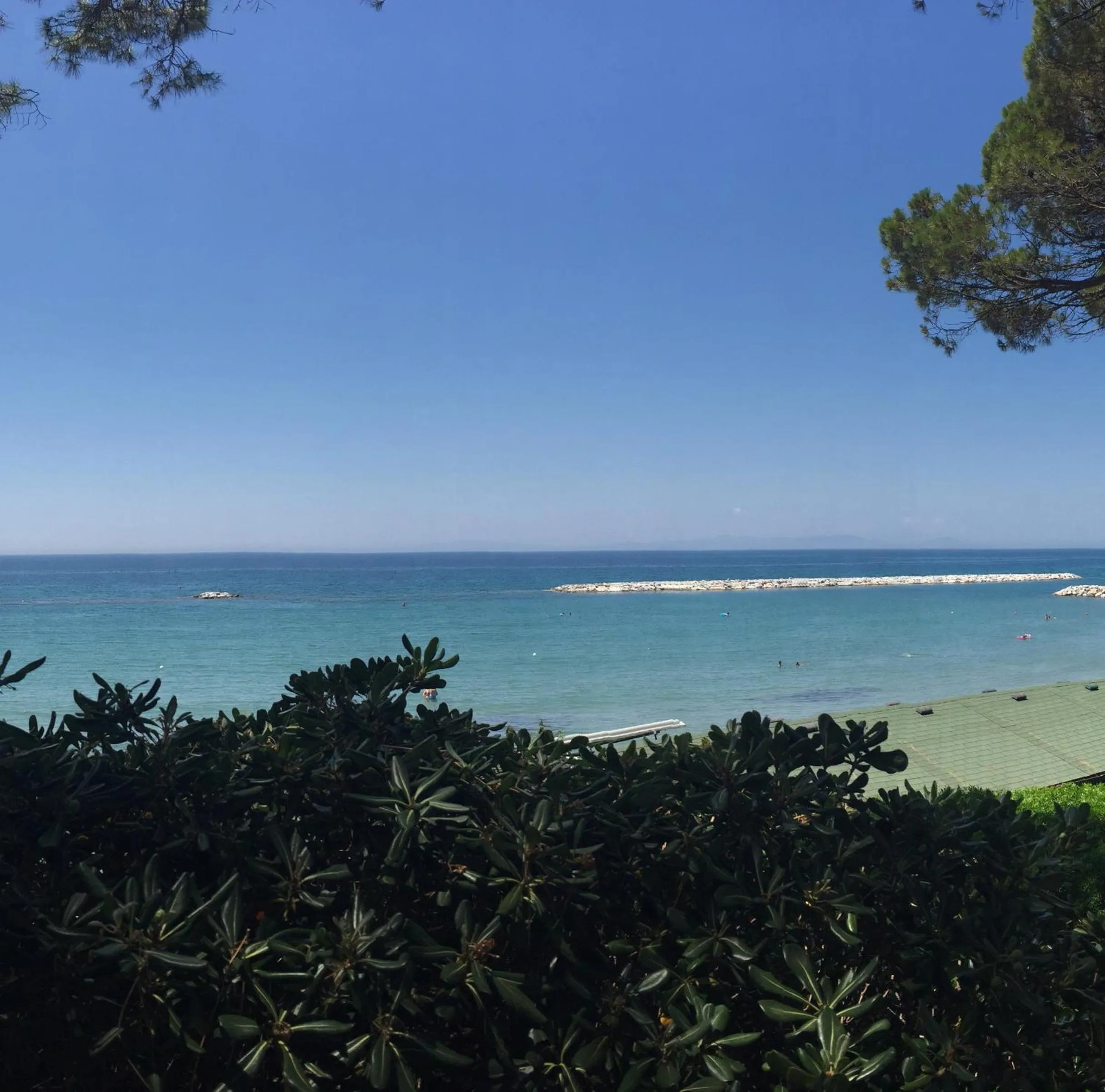 Natural landscape in Hotel Boschetto