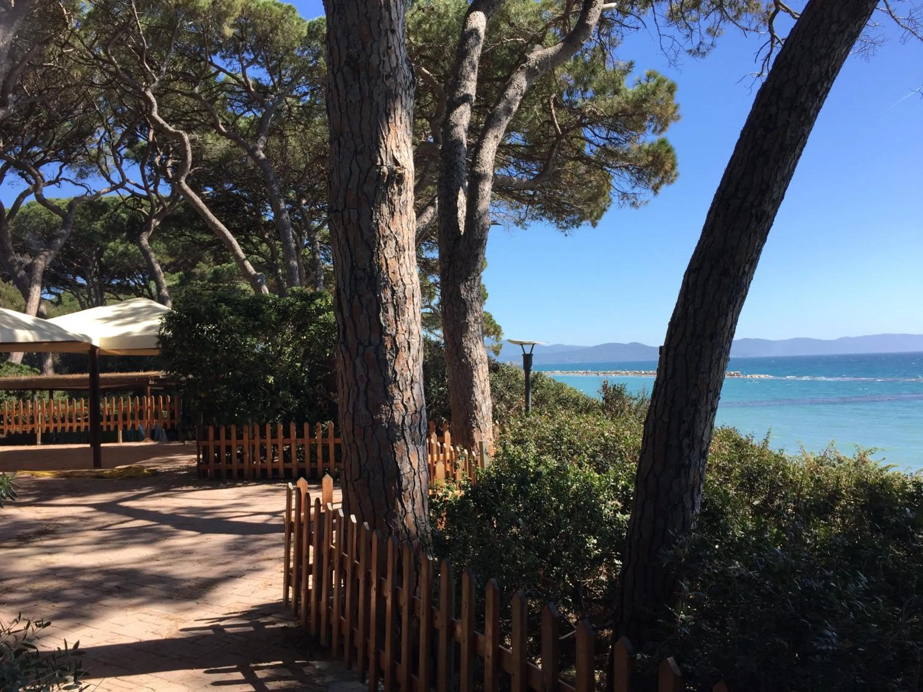 Natural landscape in Hotel Boschetto