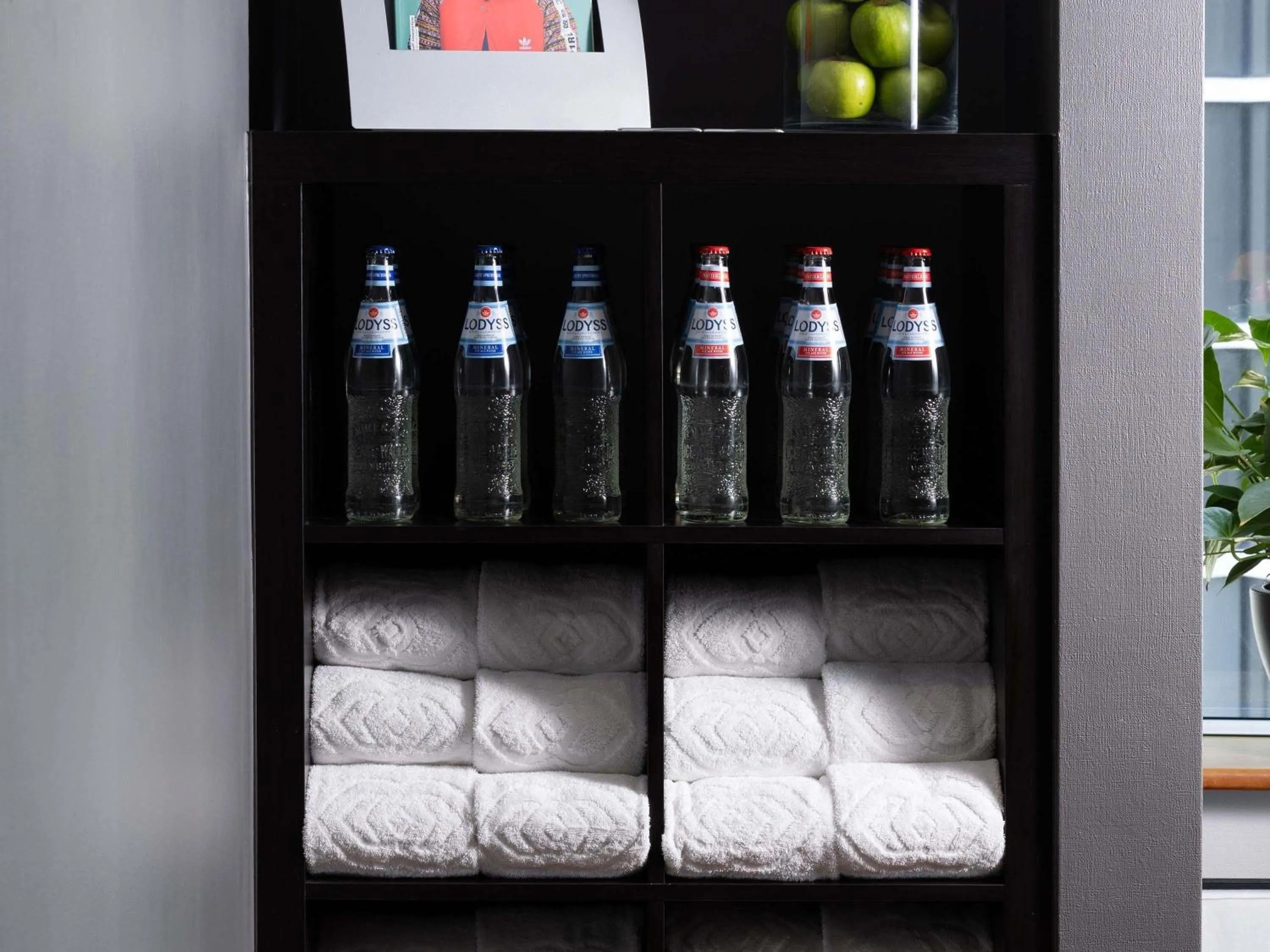 Fitness centre/facilities in Sofitel Luxembourg Europe