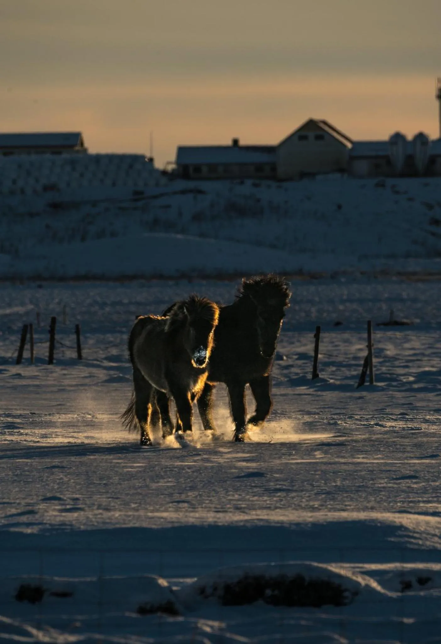 Activities in Midgard Base Camp