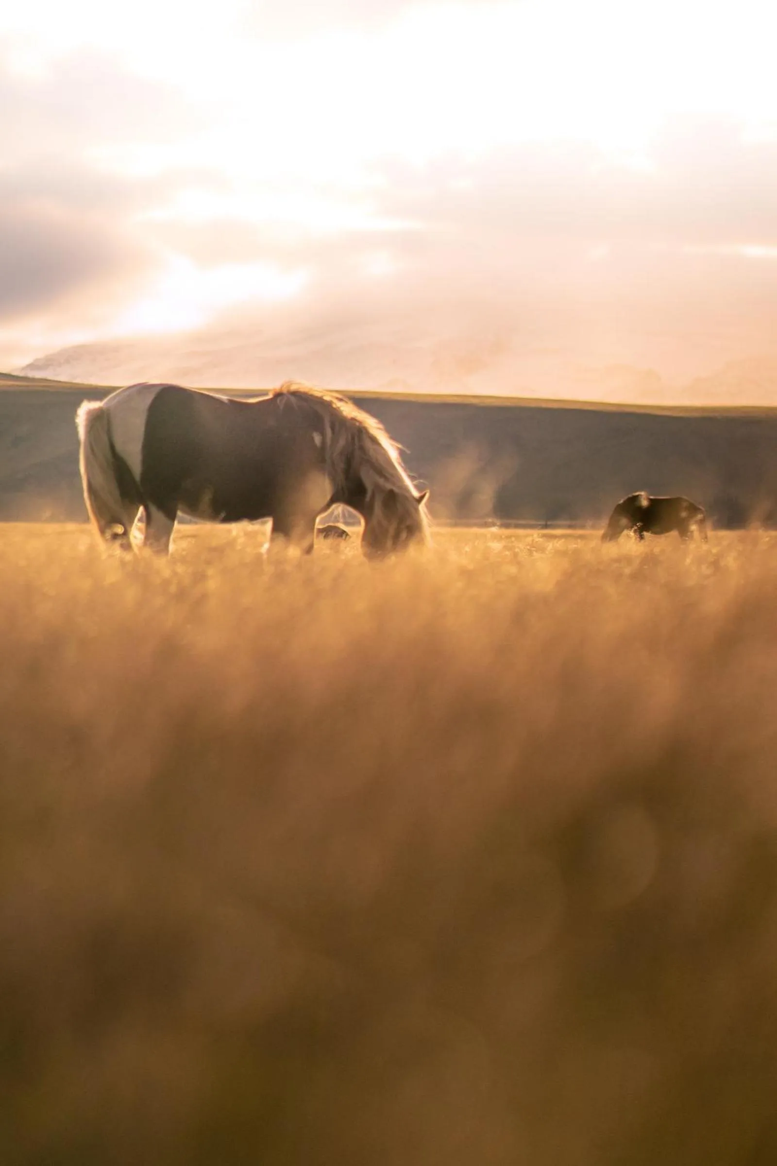 Natural landscape in Midgard Base Camp