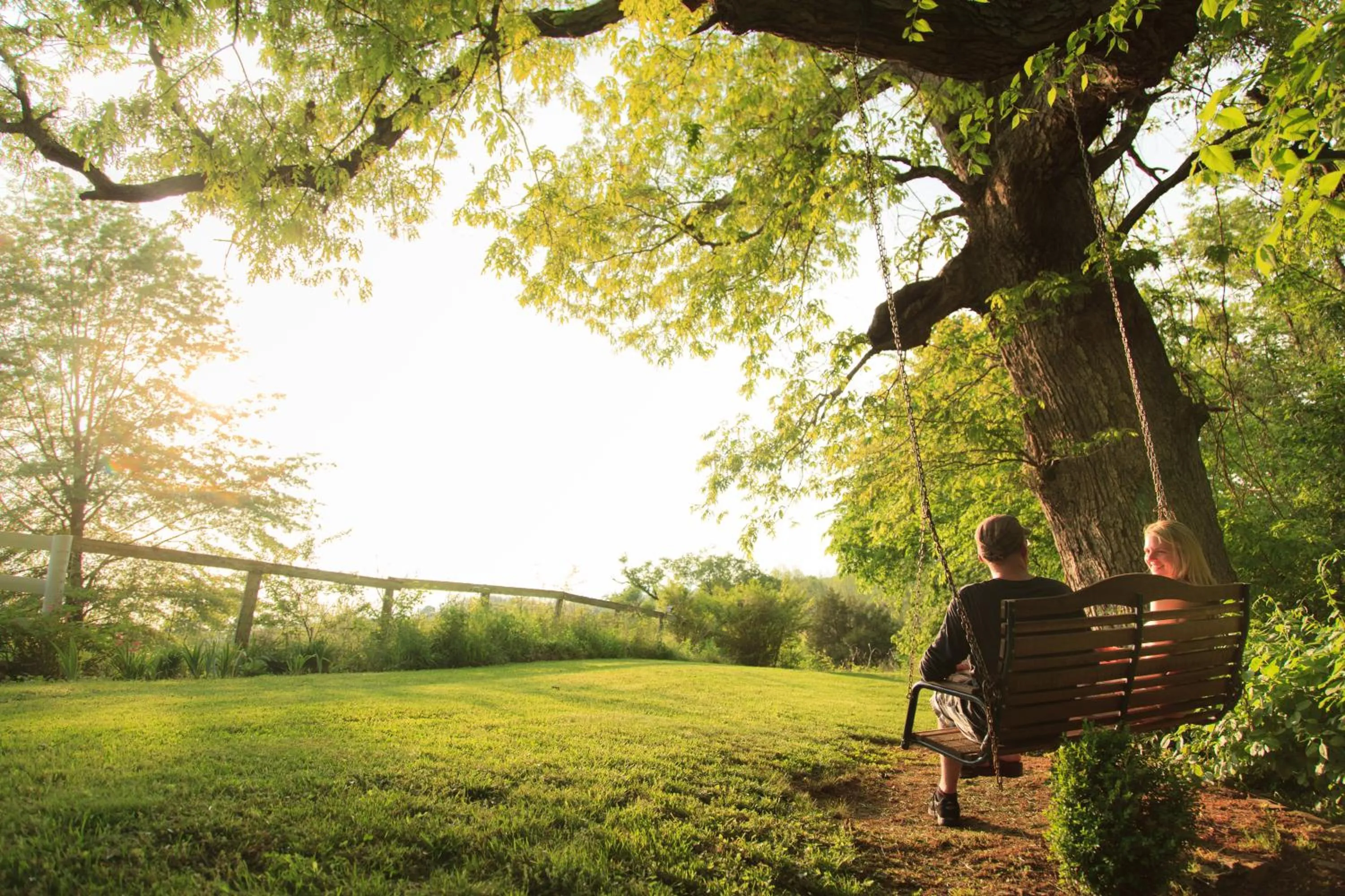 Garden view in The Inn & Tavern at Meander