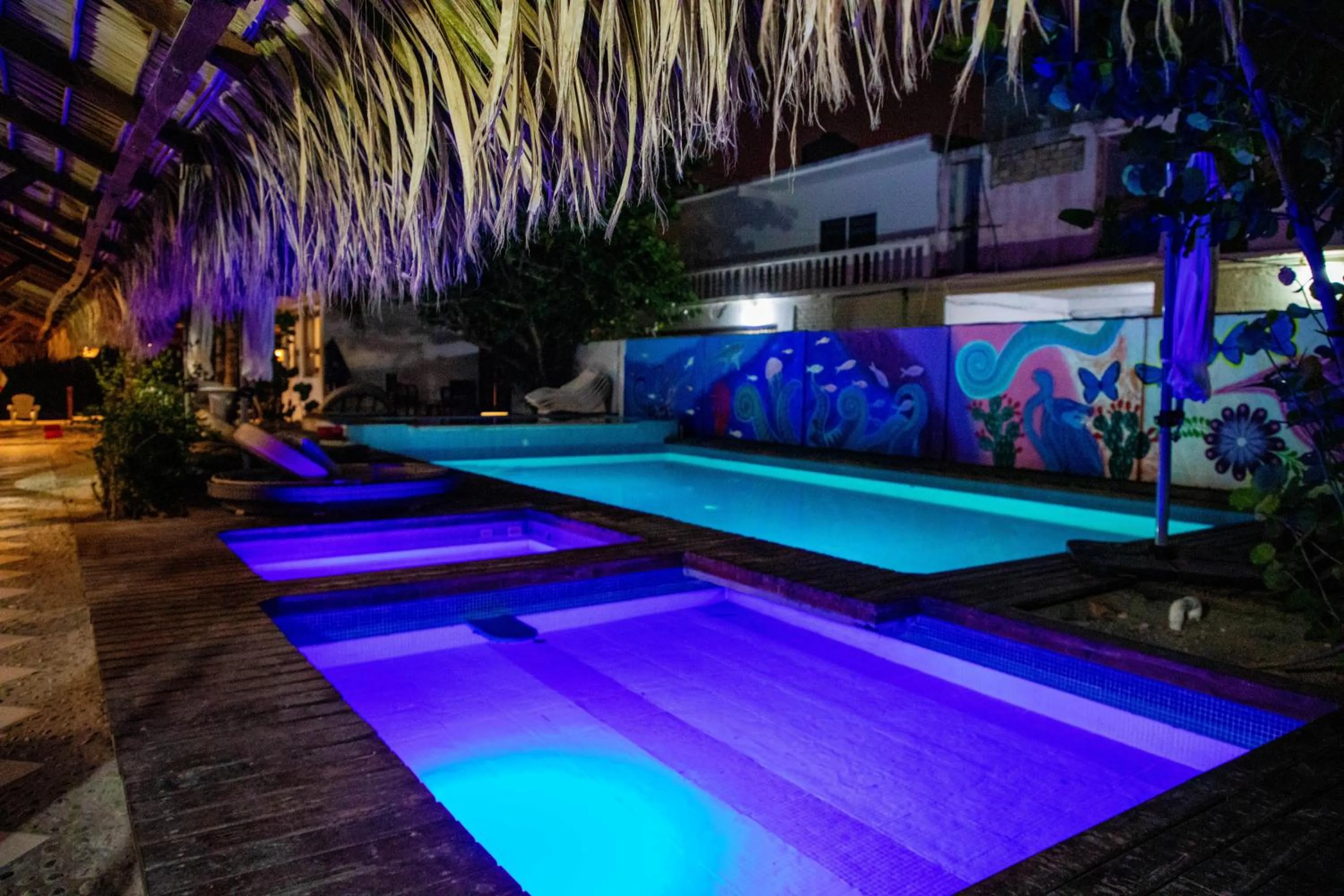 Swimming pool in Hotel Playa Zipolite