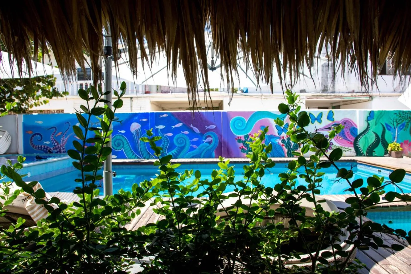 Swimming pool in Hotel Playa Zipolite