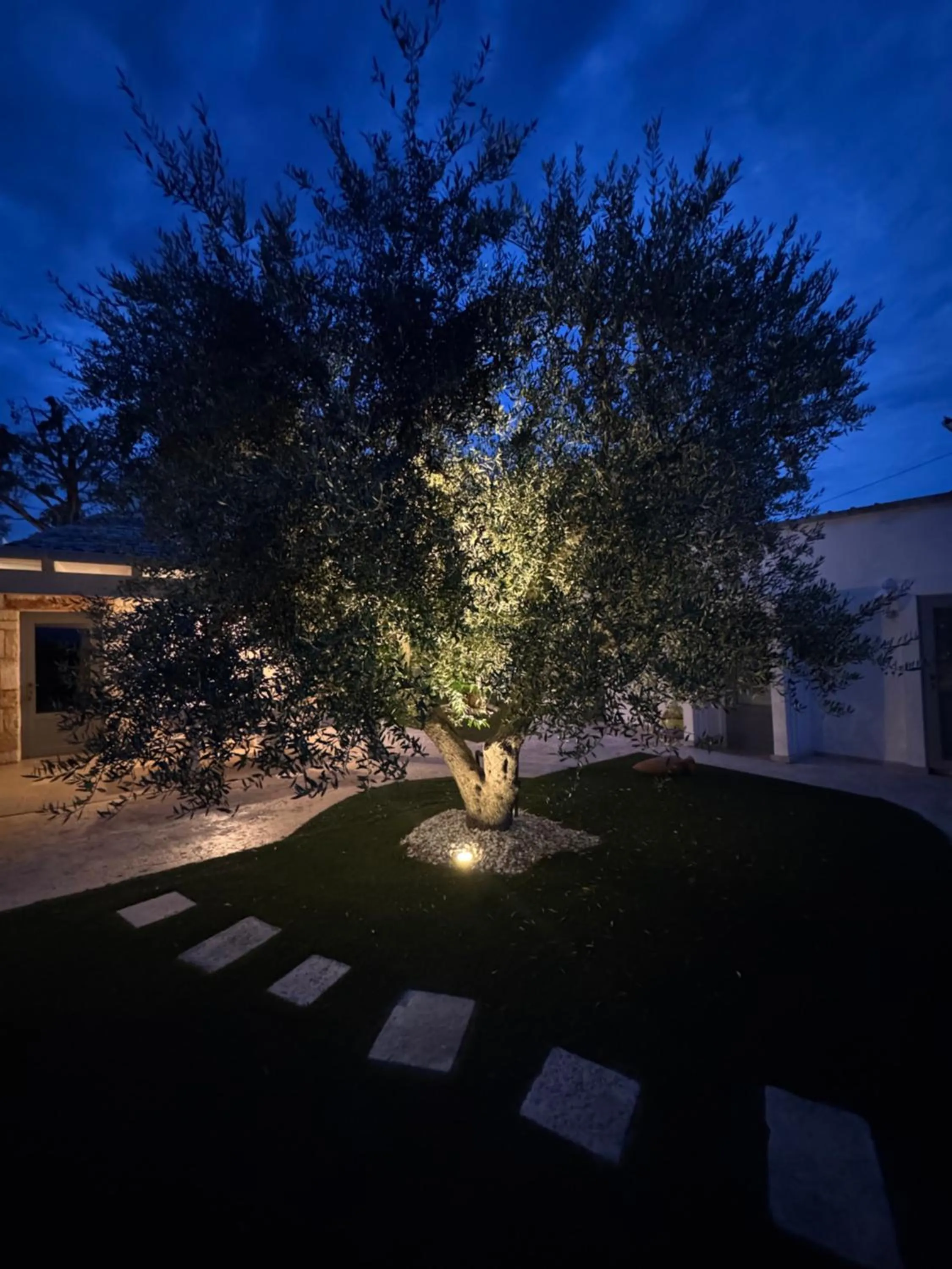 Property building in La linea dell'orizzonte